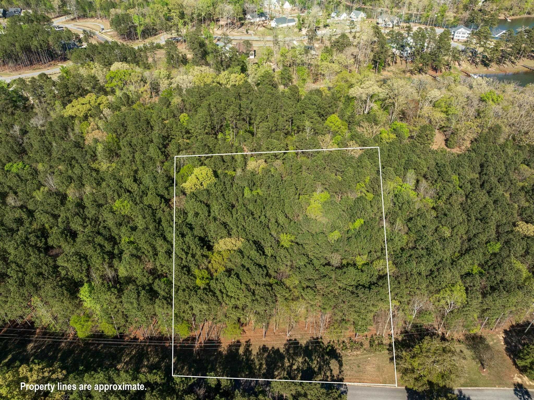 335244 Property Photo 6