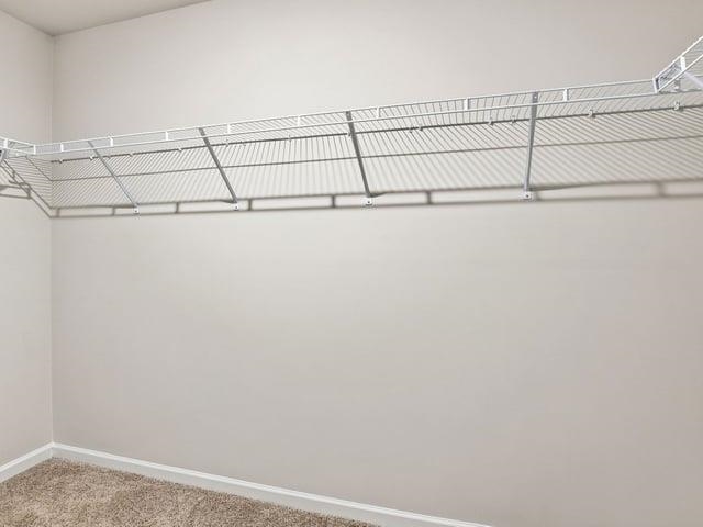2178 Springview Court Property Photo 34