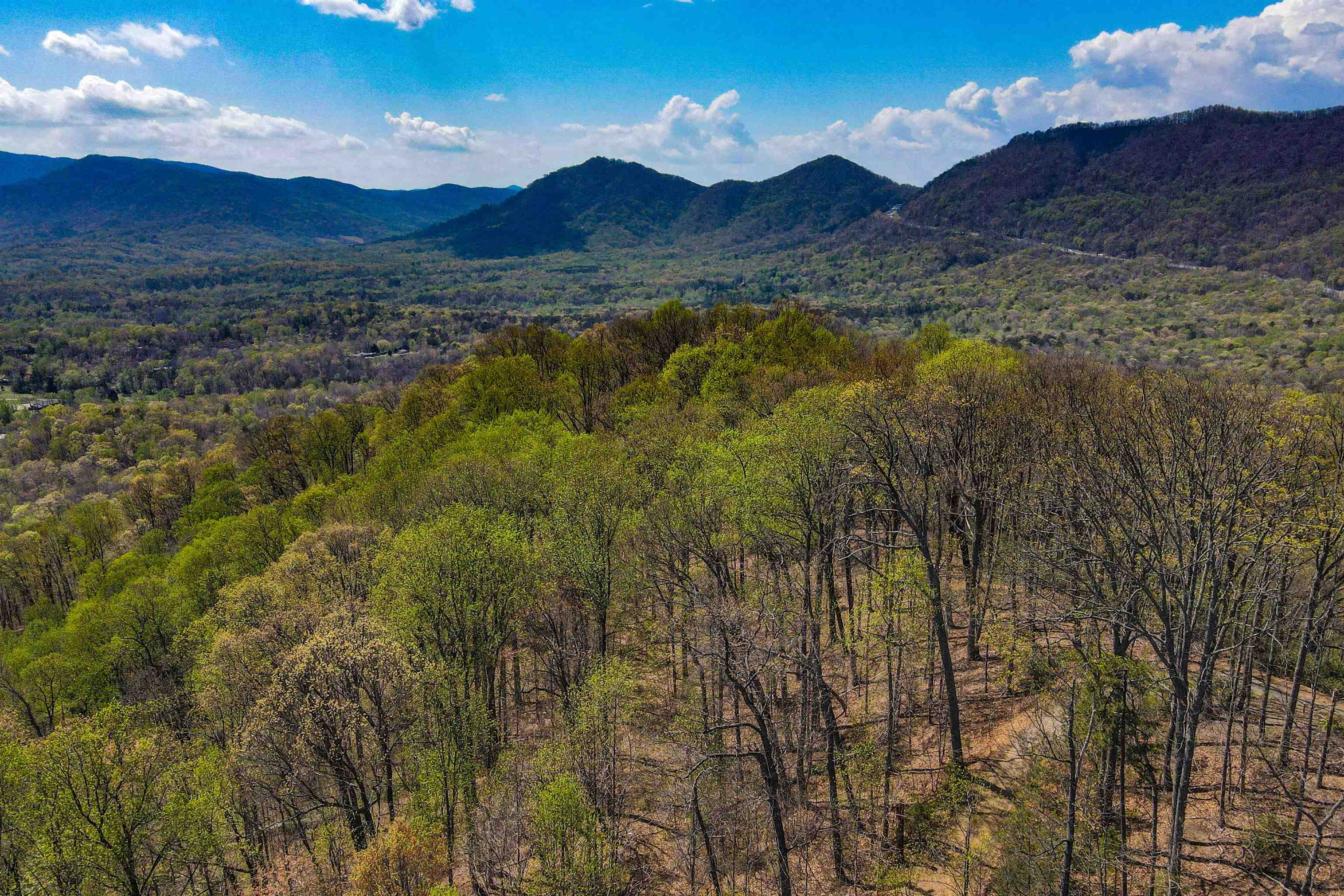 335411 Property Photo 2