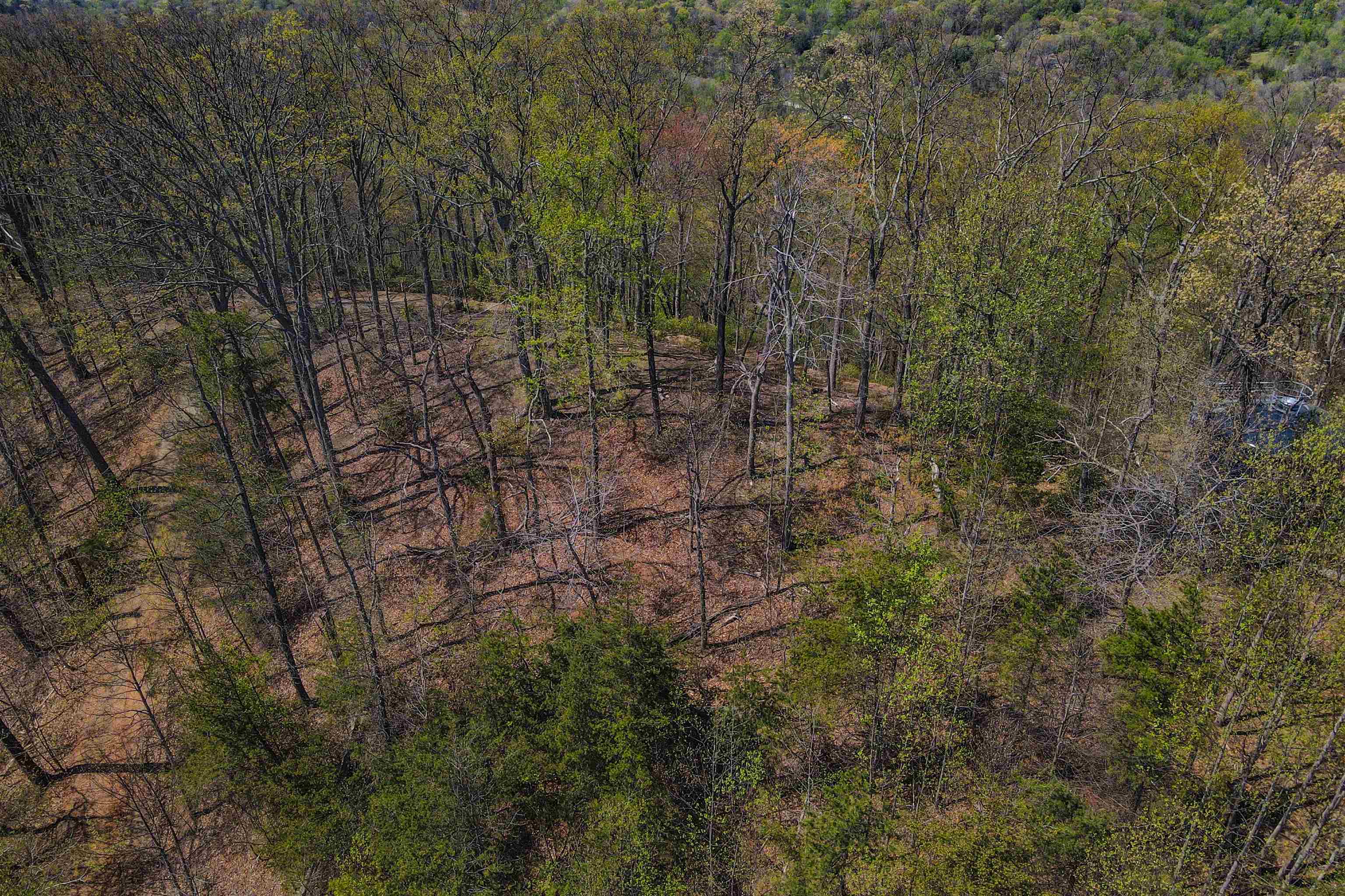 335411 Property Photo 4