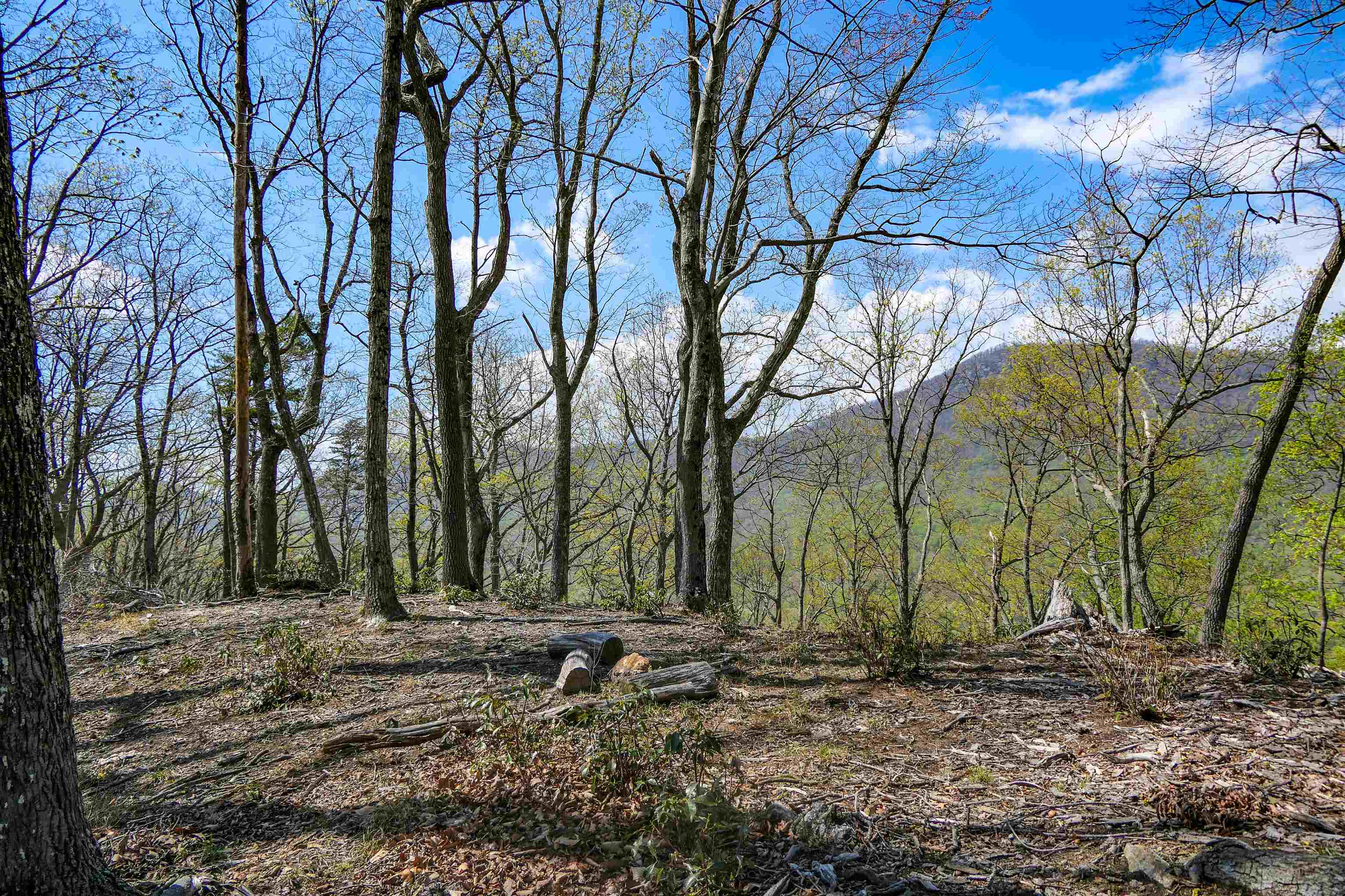 335411 Property Photo 7