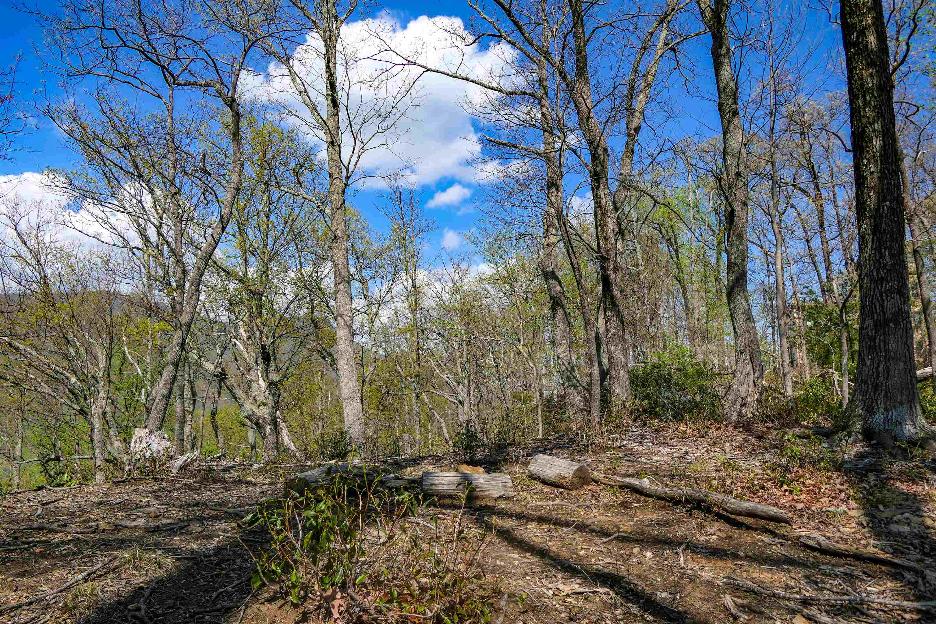 335411 Property Photo 8