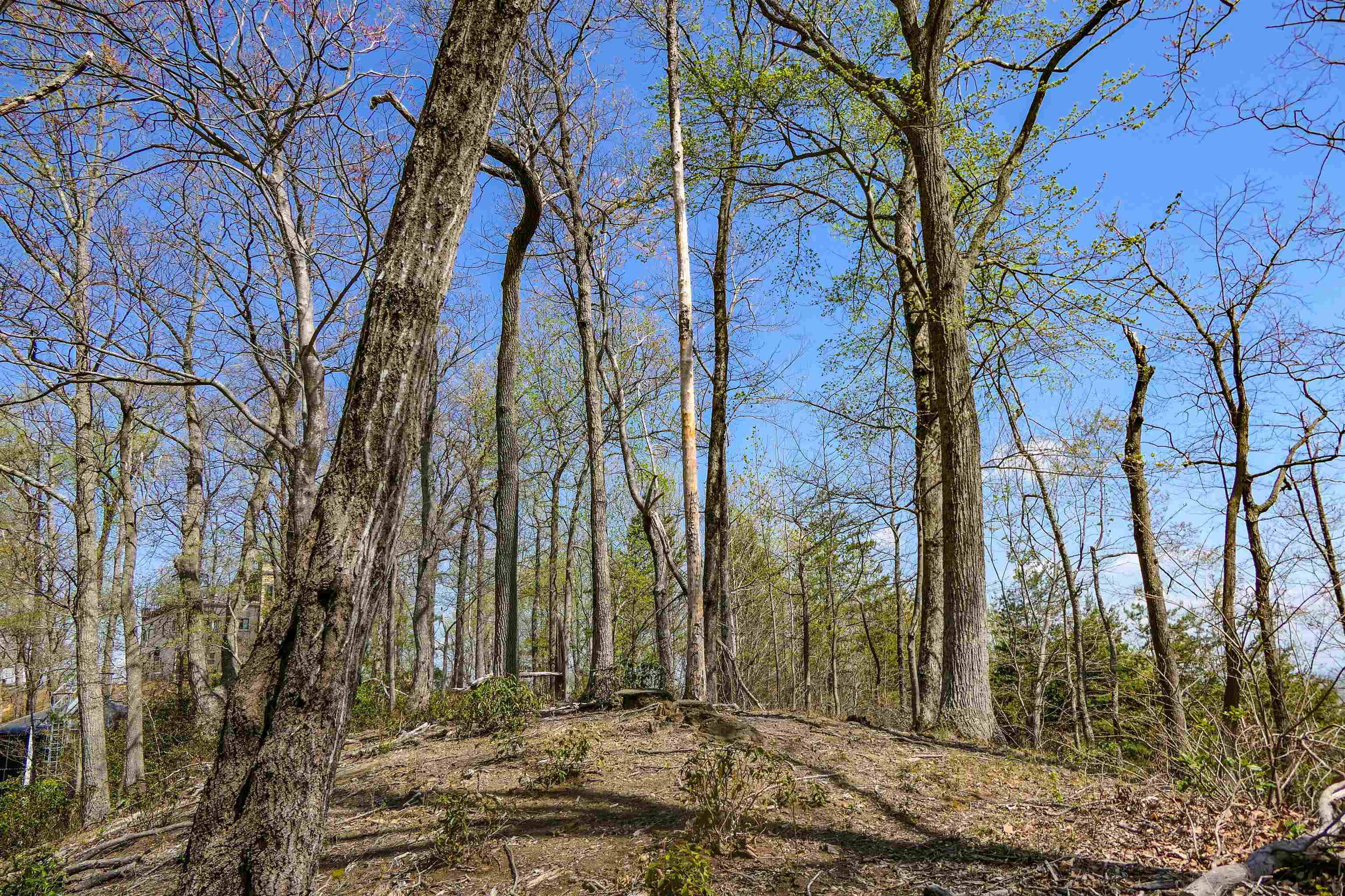 335411 Property Photo 9