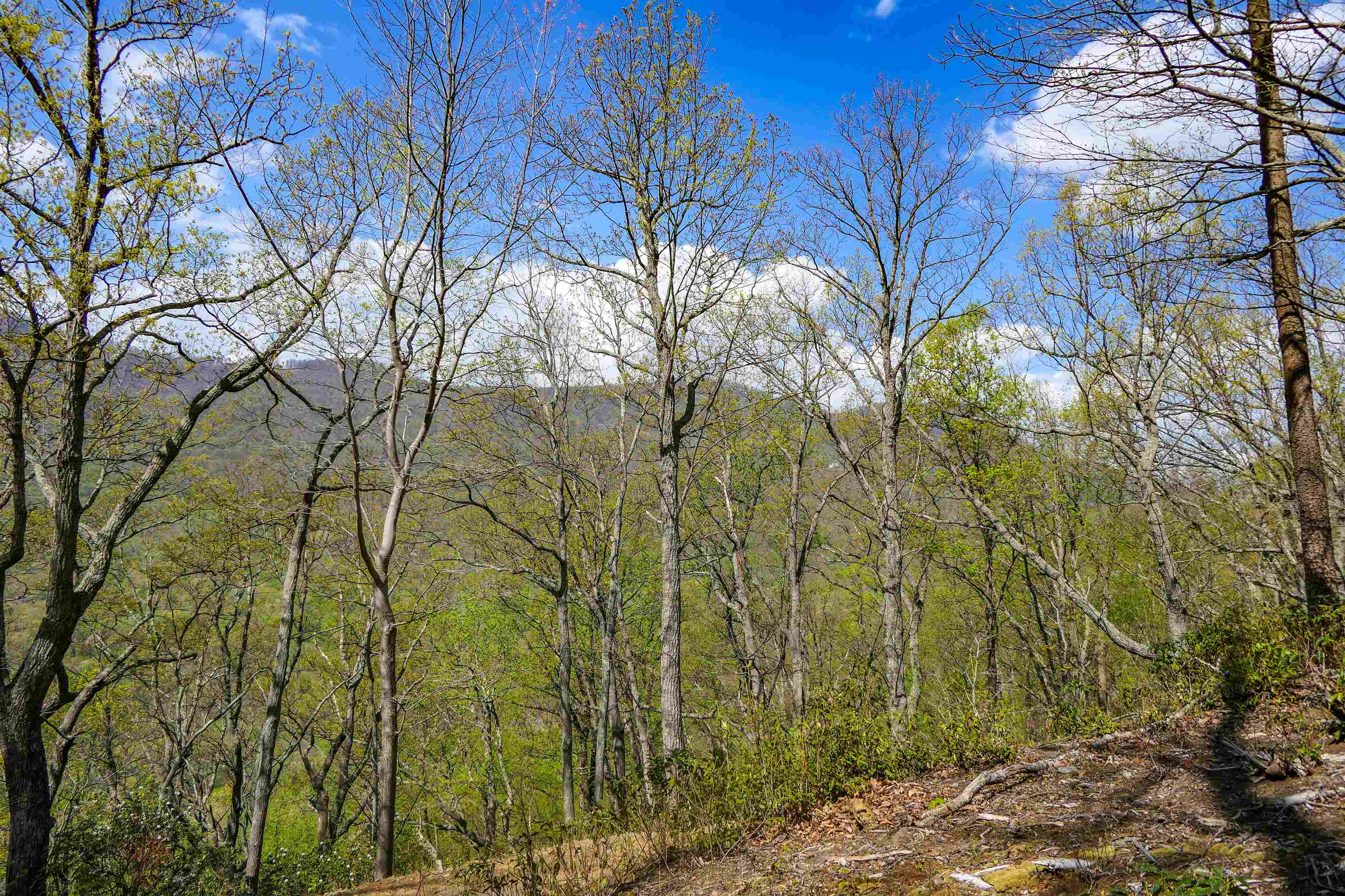 335411 Property Photo 10