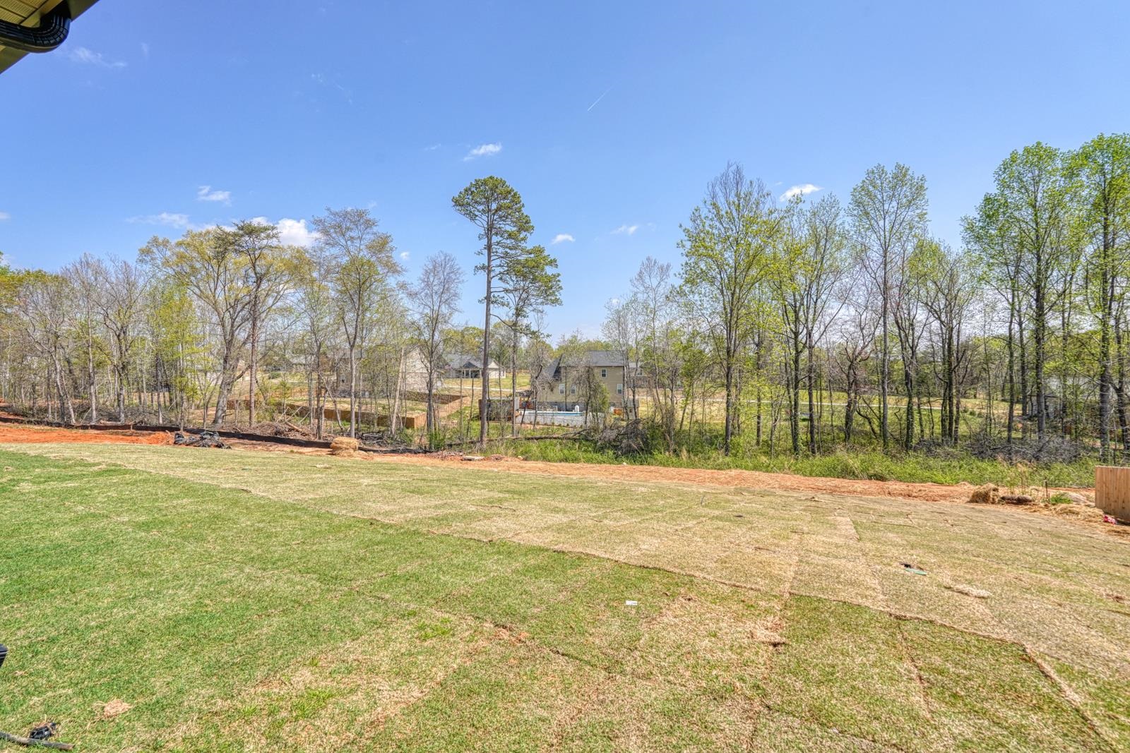753 Ruby Golightly Drive Property Photo 21