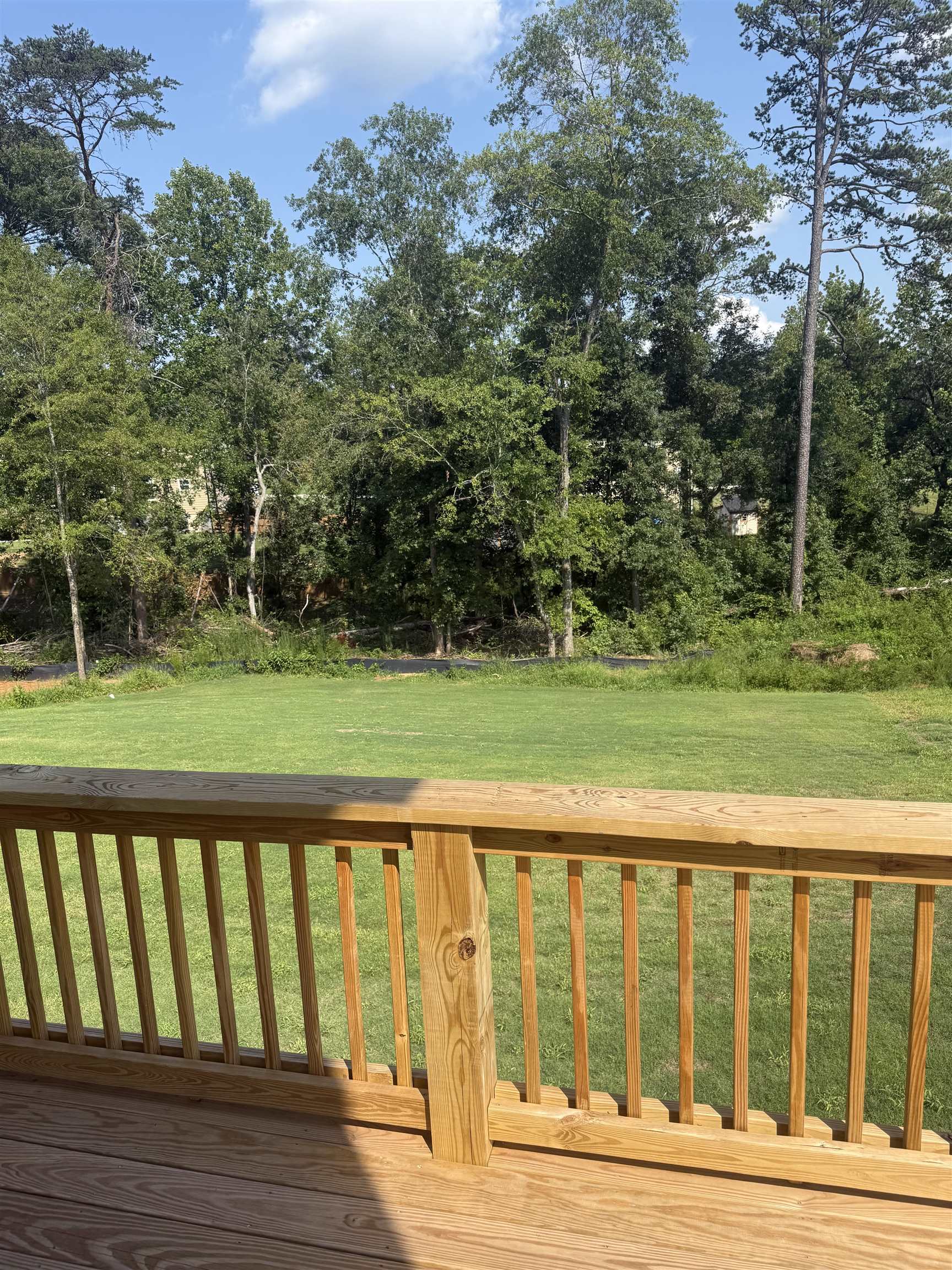 749 Ruby Golightly Drive Property Photo 6