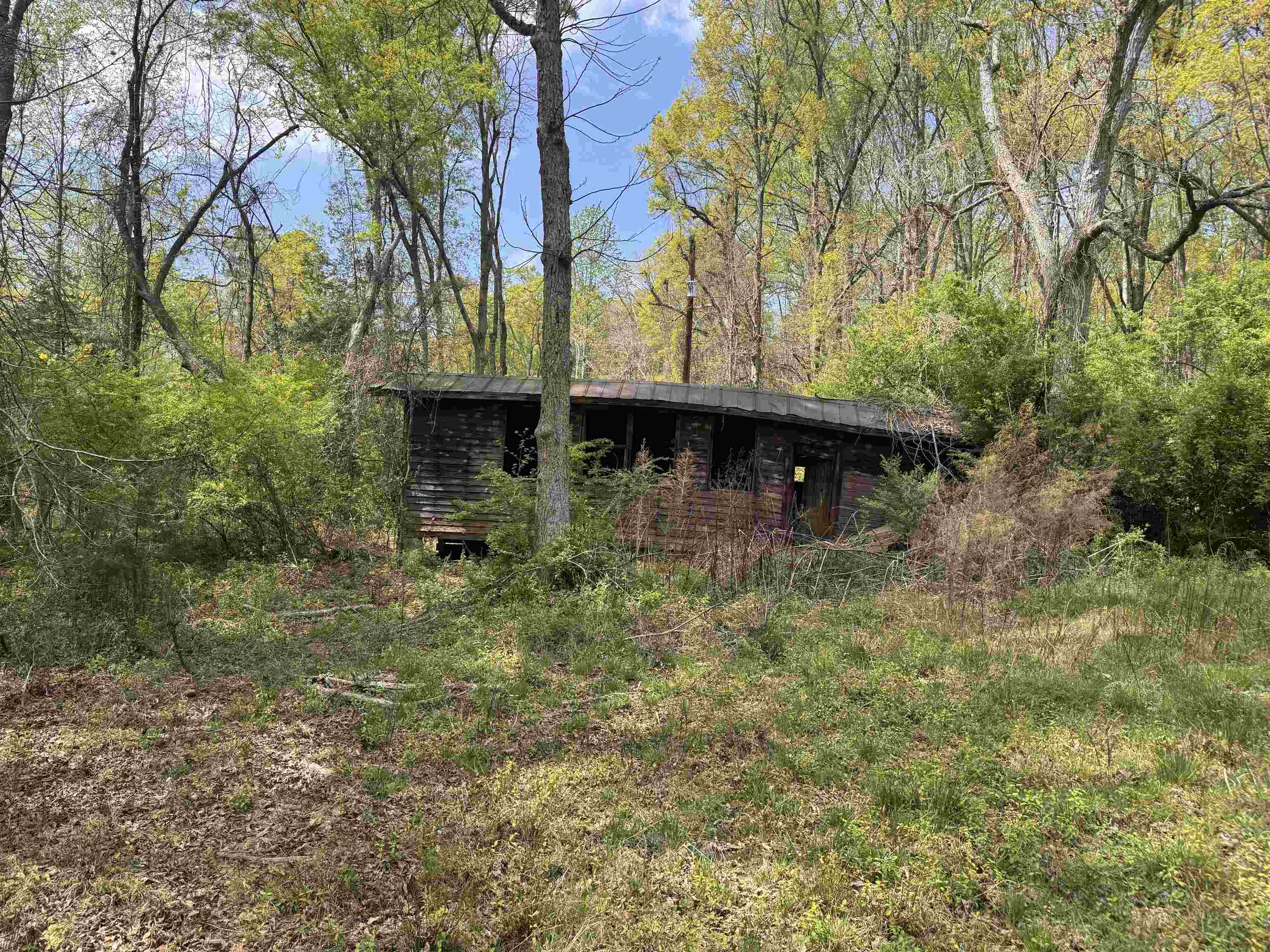 335564 Property Photo 8