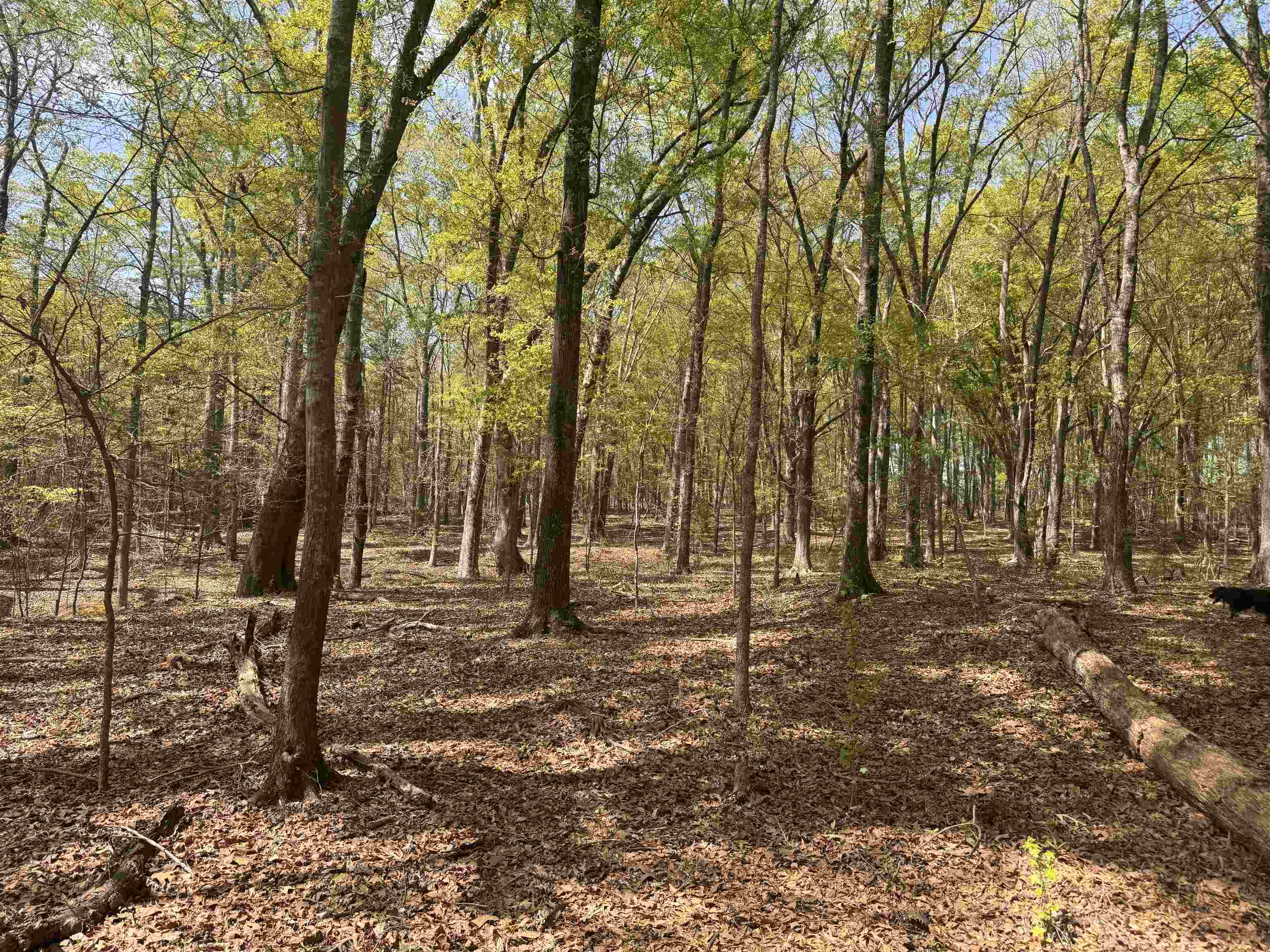 335564 Property Photo 17