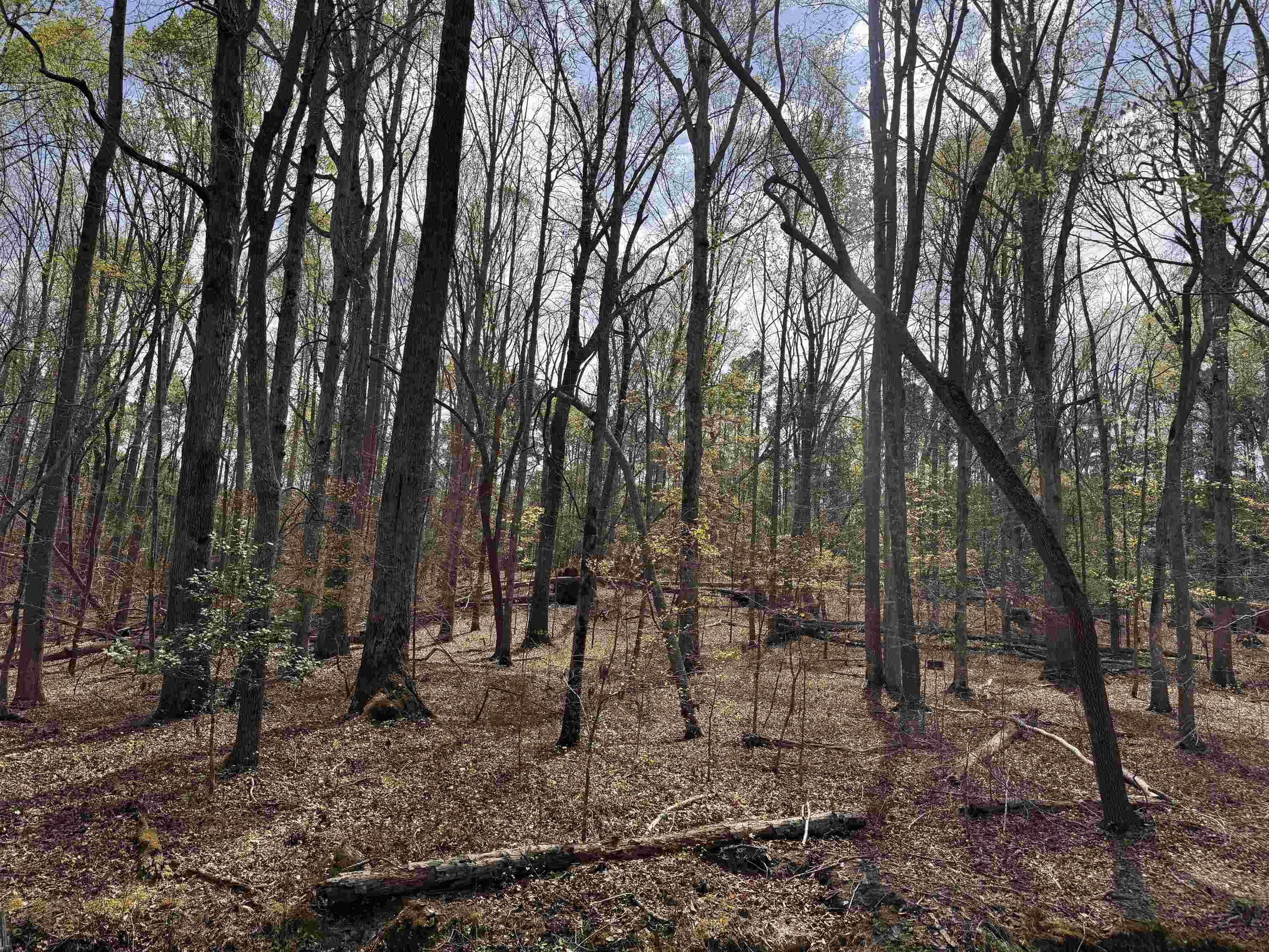335564 Property Photo 23