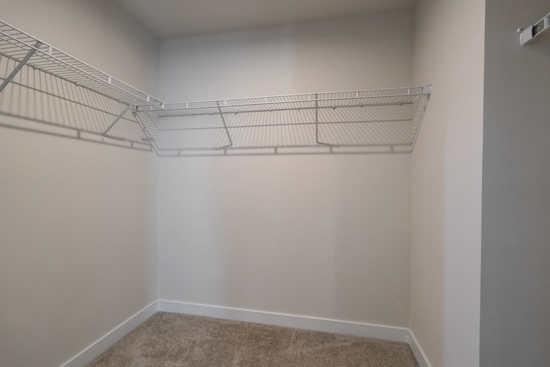 917 Blue Willow Court Property Photo 21