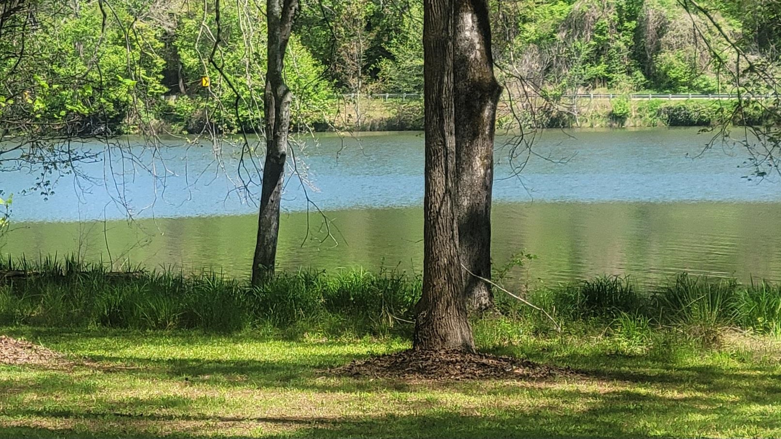 335713 Property Photo 1