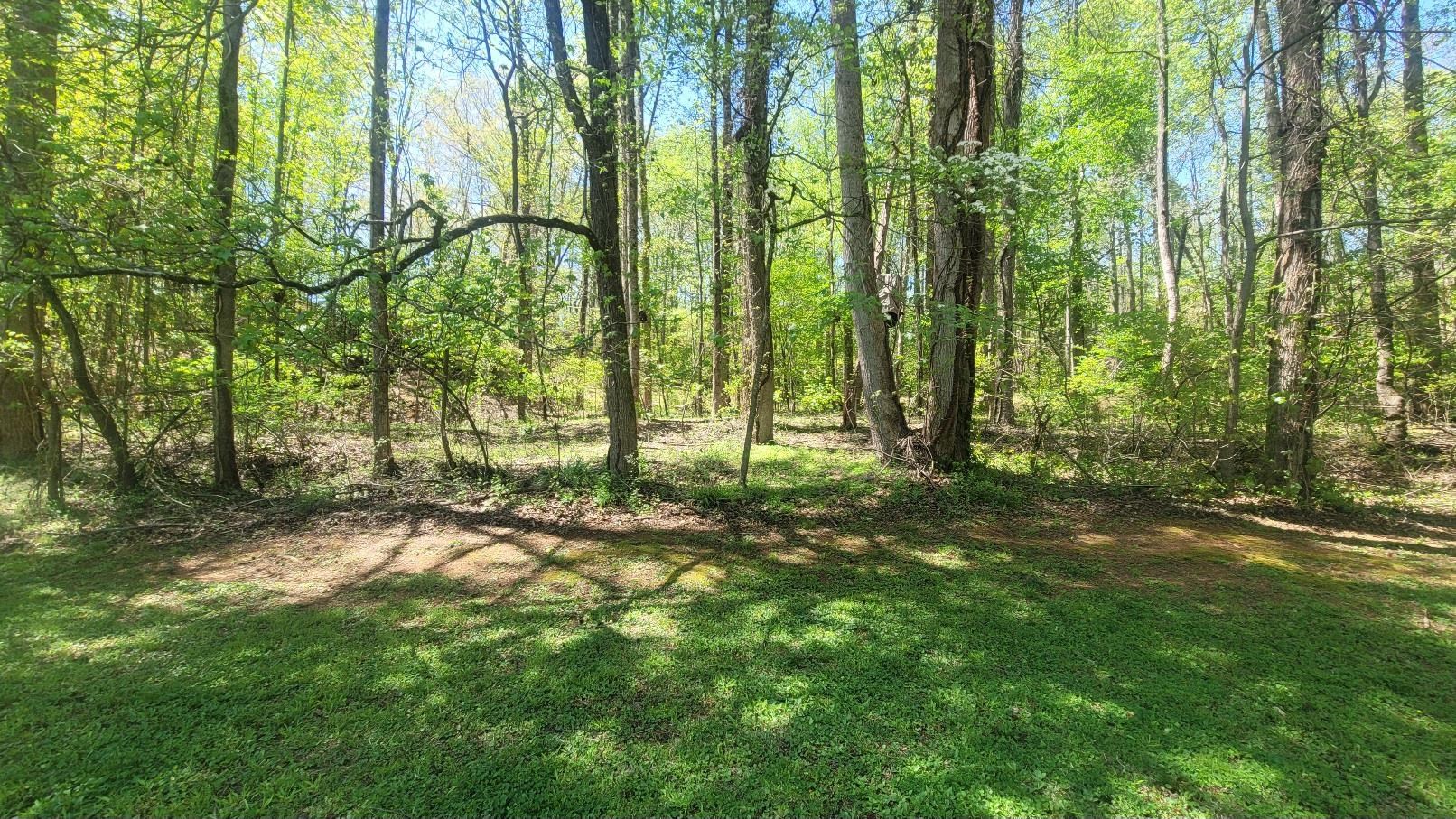 335713 Property Photo 2