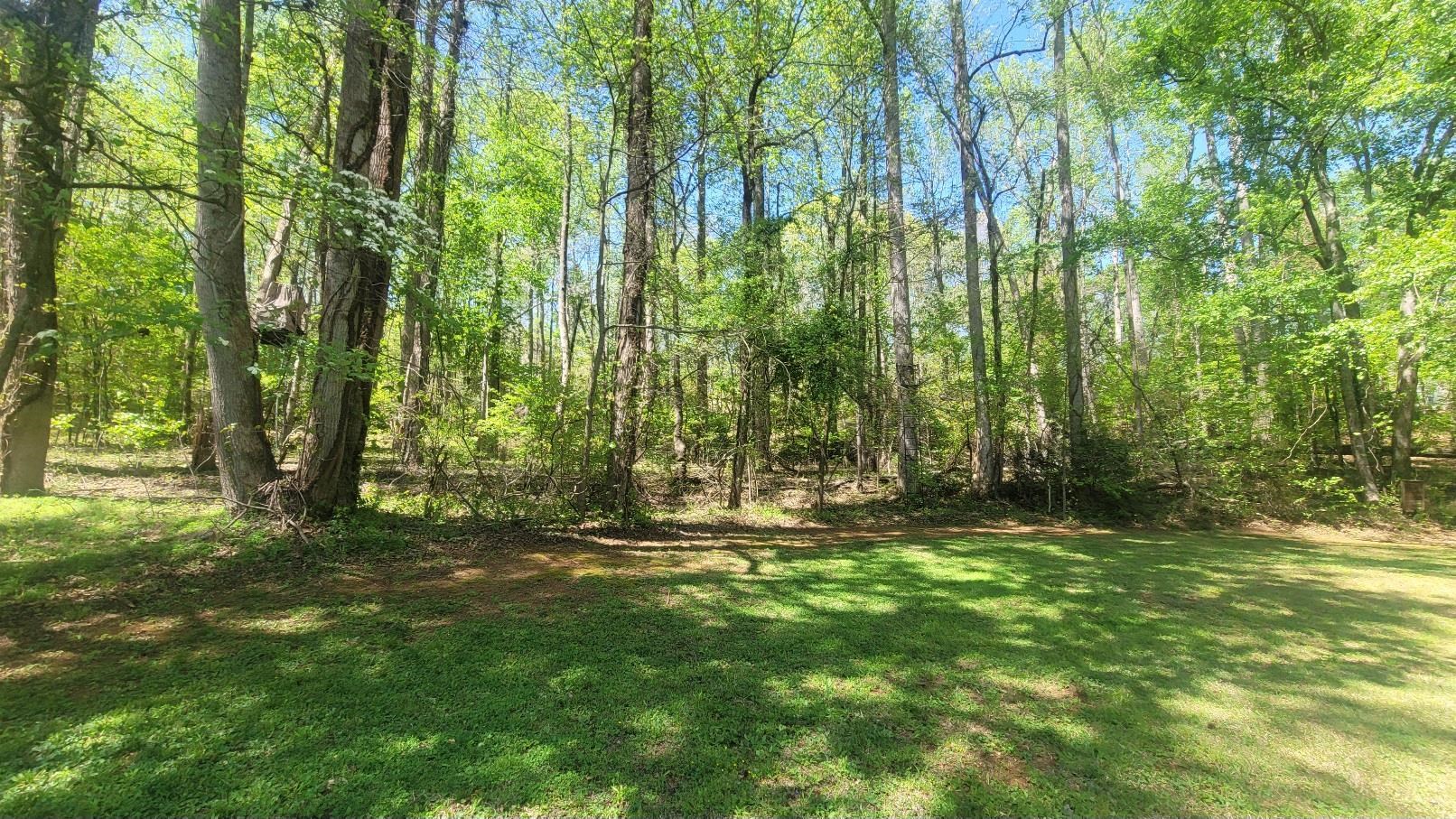 335713 Property Photo 4