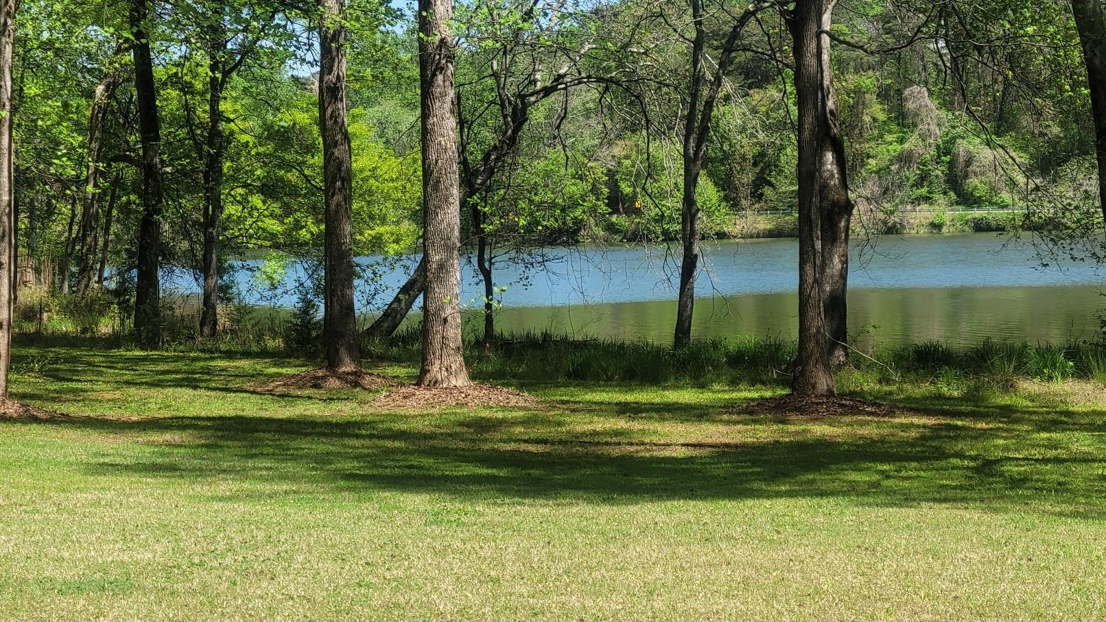 335713 Property Photo 6