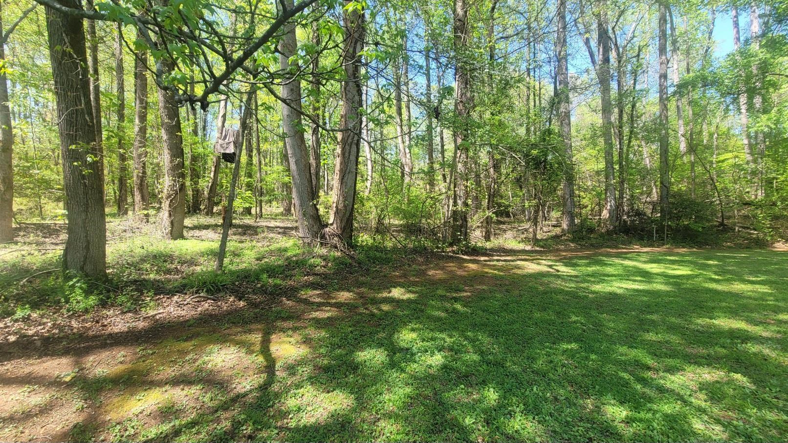 335713 Property Photo 9