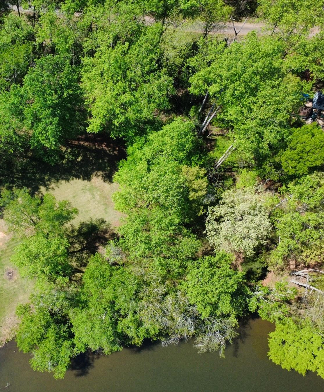 335713 Property Photo 10