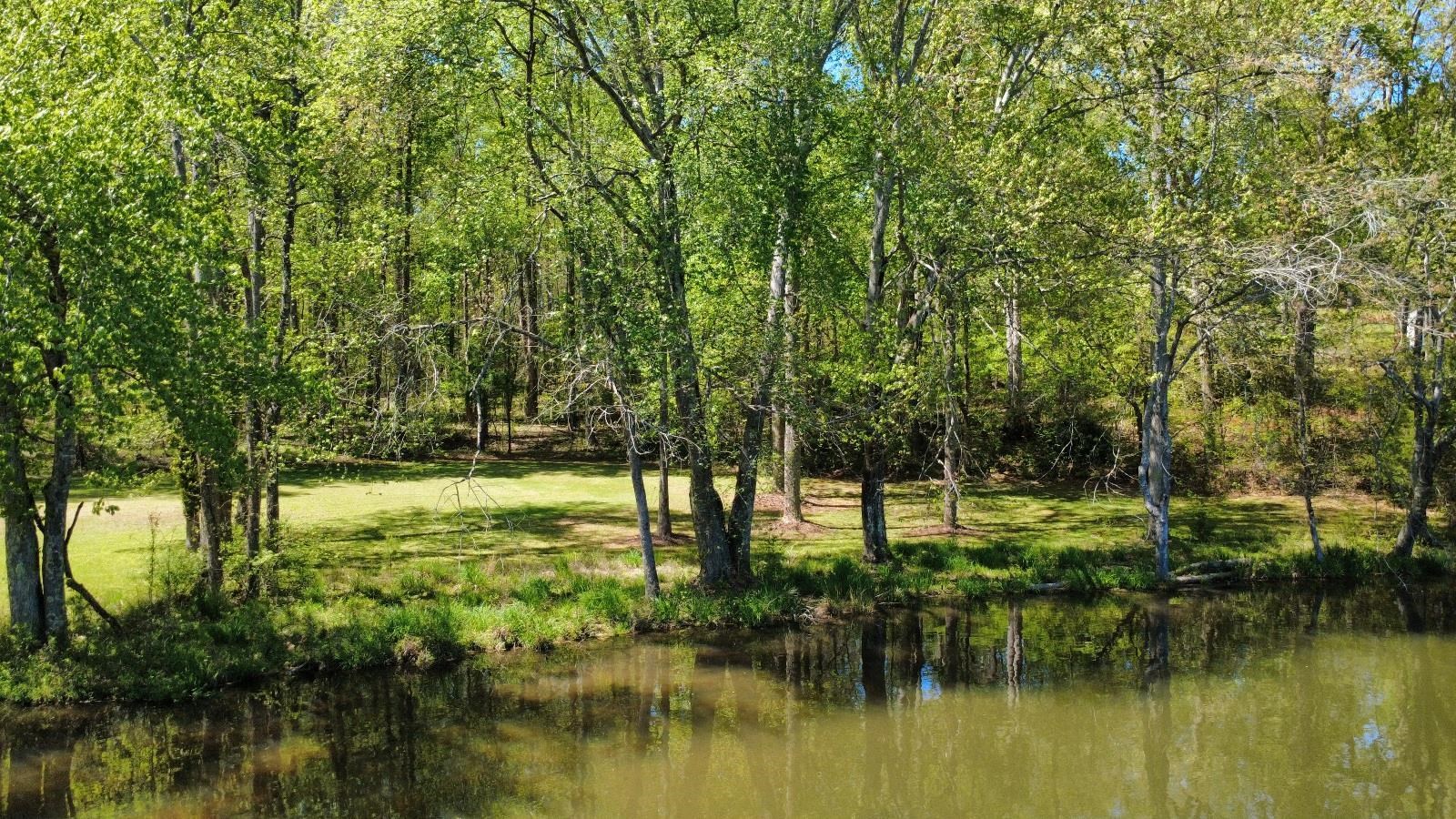 335713 Property Photo 13