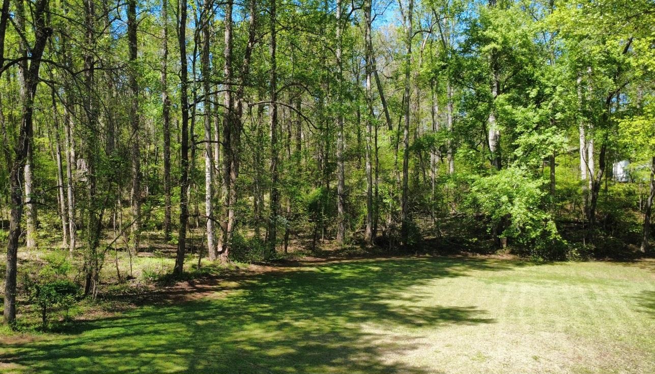 335713 Property Photo 15