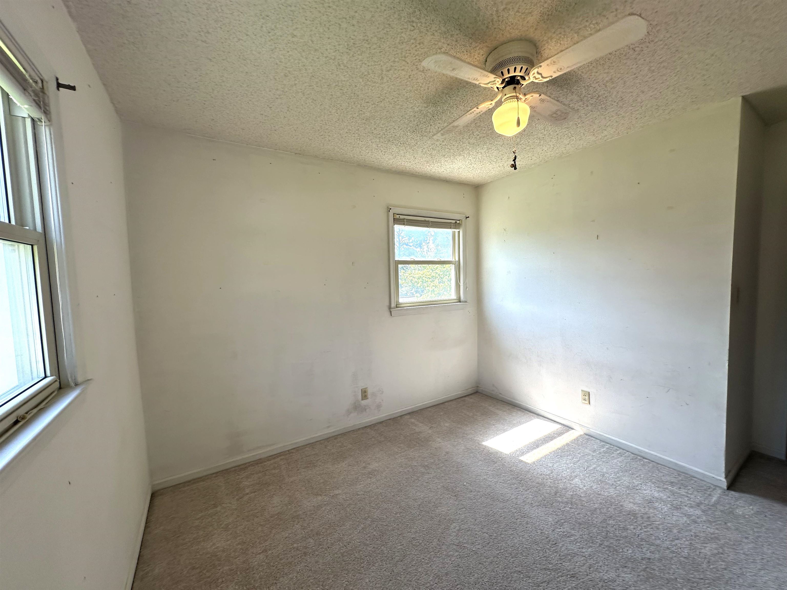 204 York Drive Property Photo 30