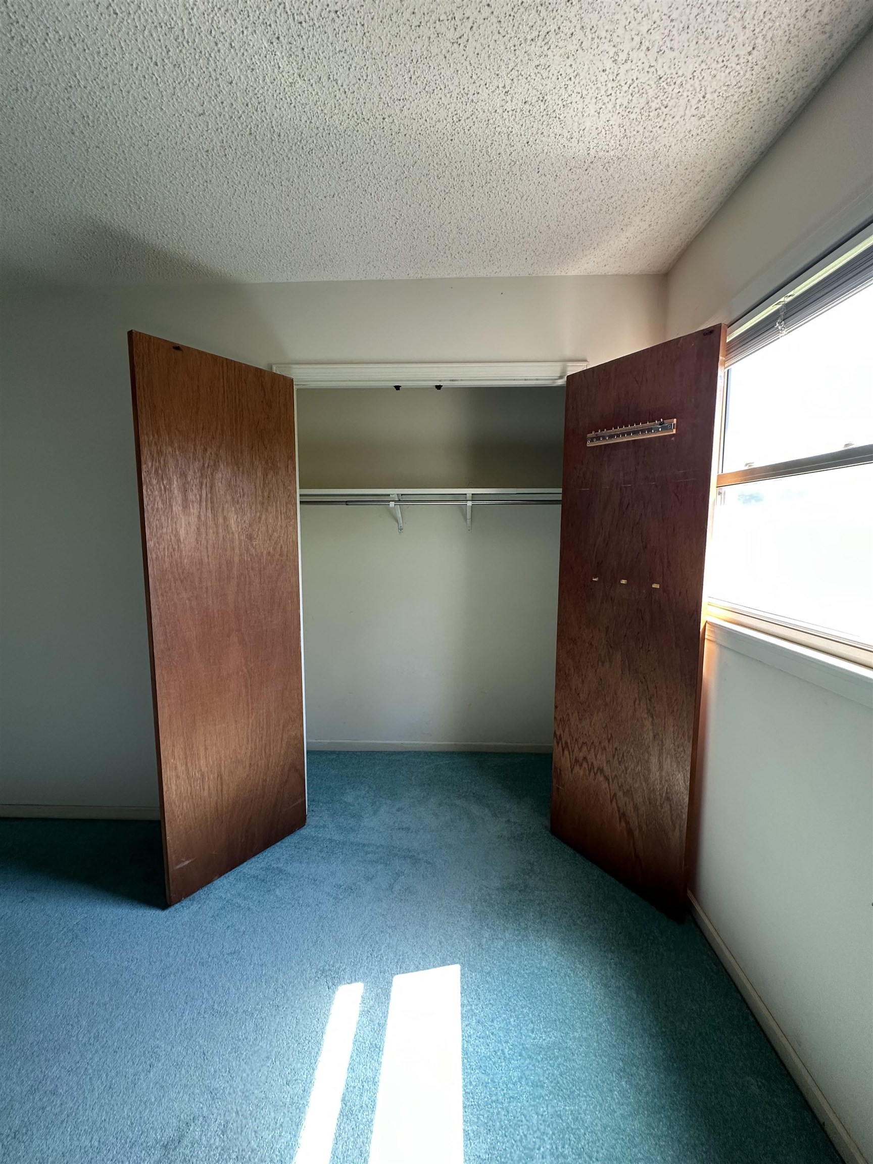 204 York Drive Property Photo 34