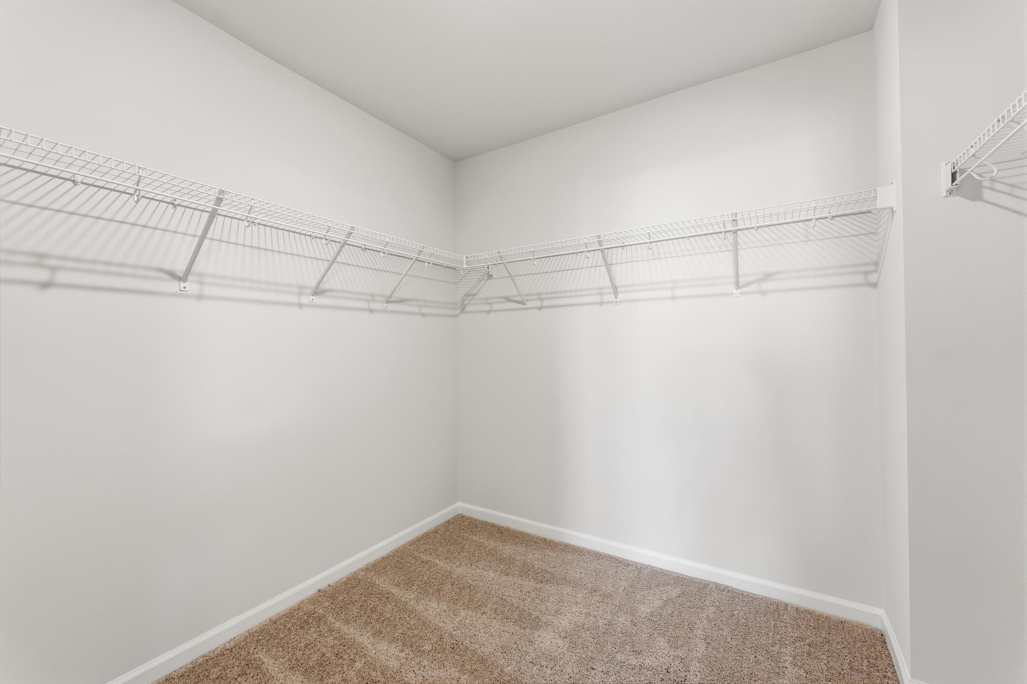 431 Dodger Avenue Property Photo 19
