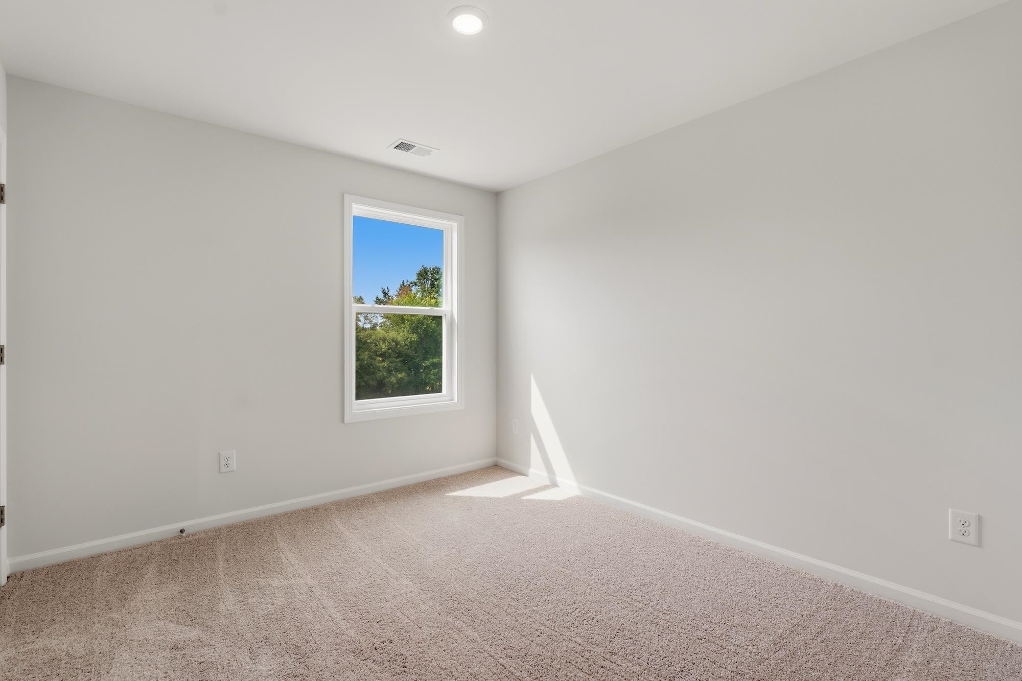 431 Dodger Avenue Property Photo 29