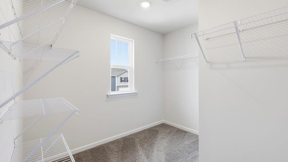 4133 Springshire Lane Property Photo 35