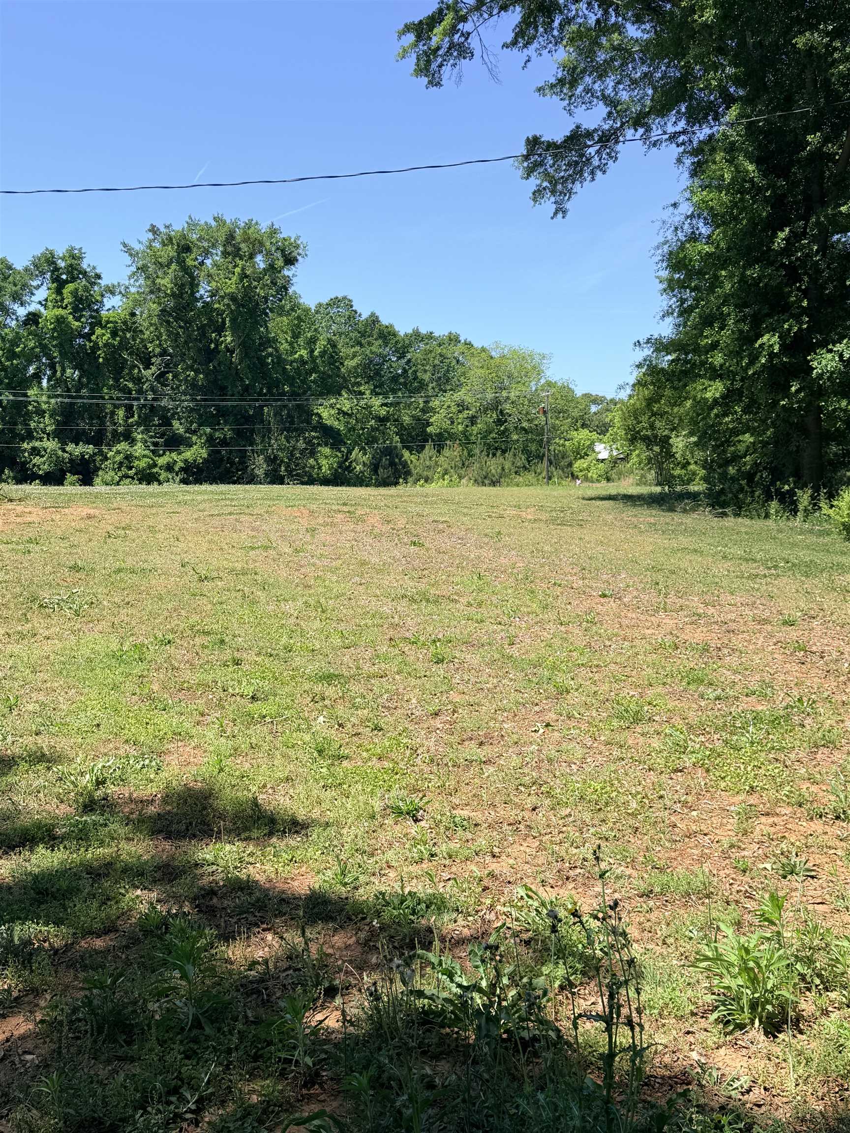 336145 Property Photo 5