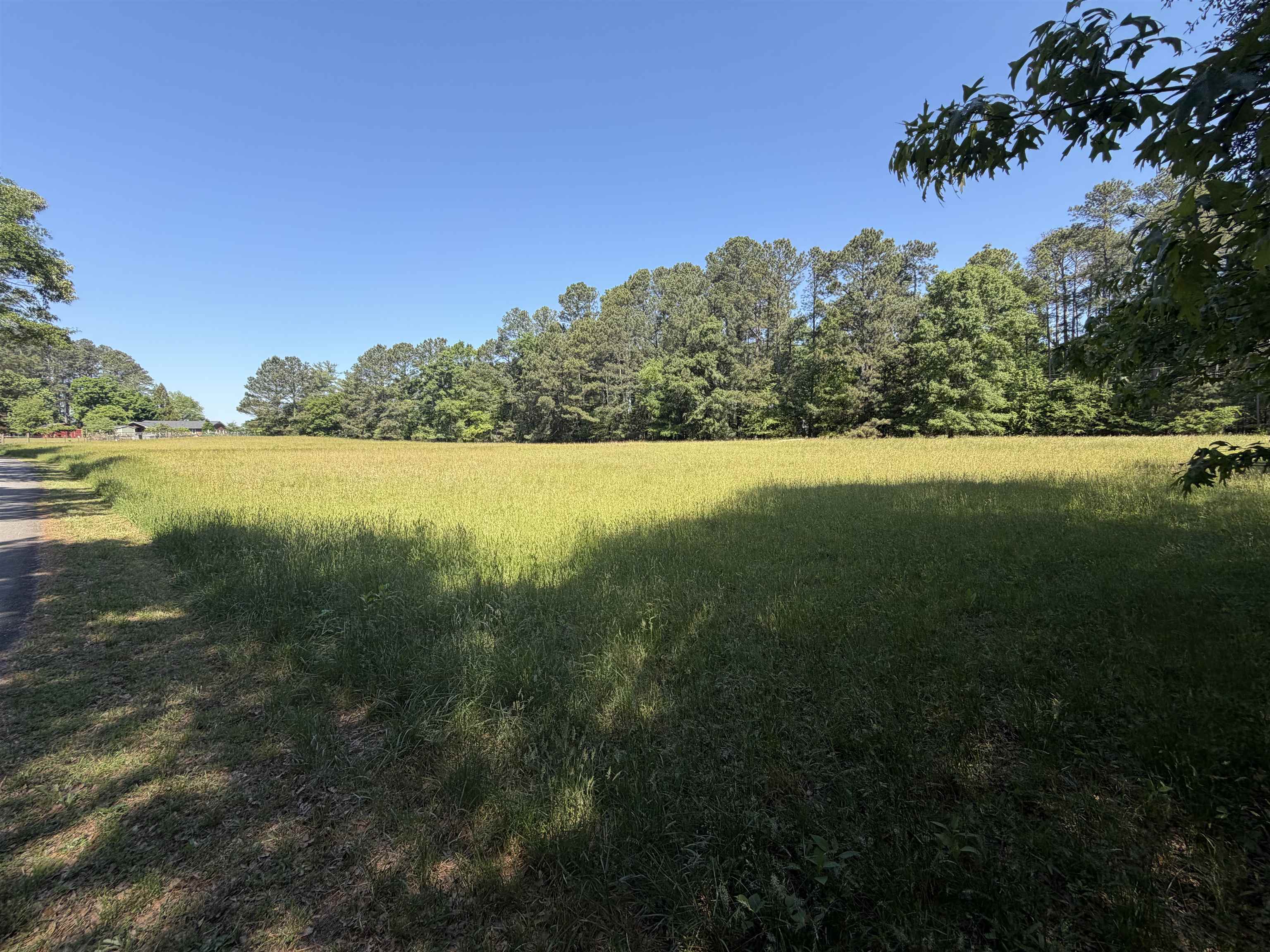 336253 Property Photo 6