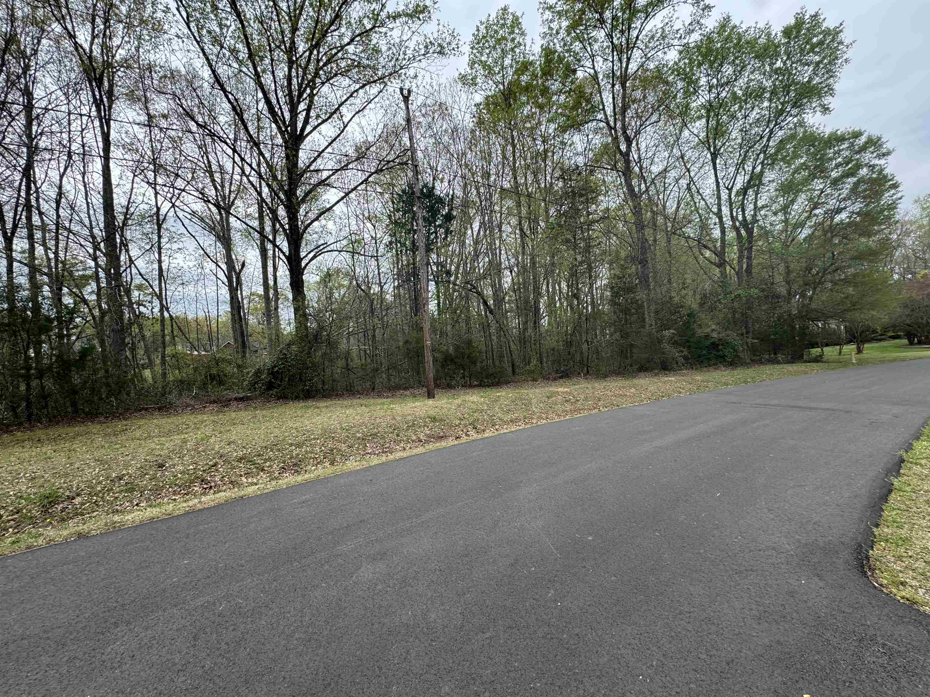 336258 Property Photo 3