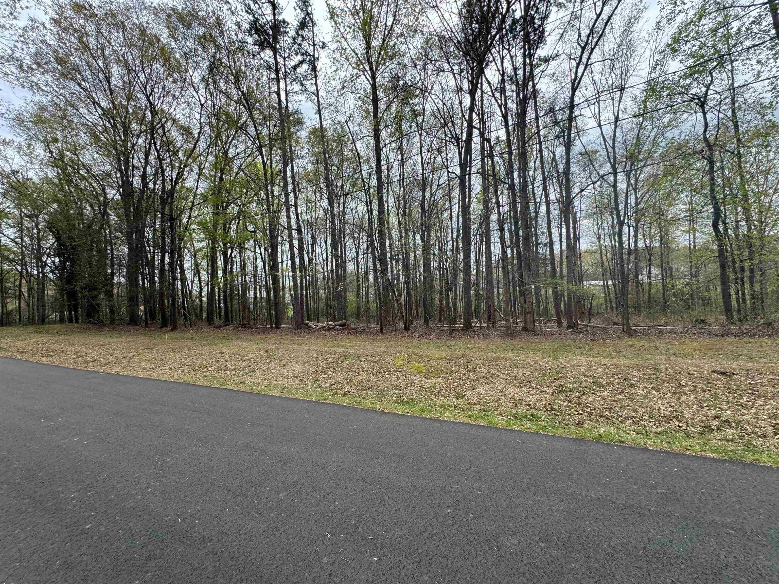 336265 Property Photo 2