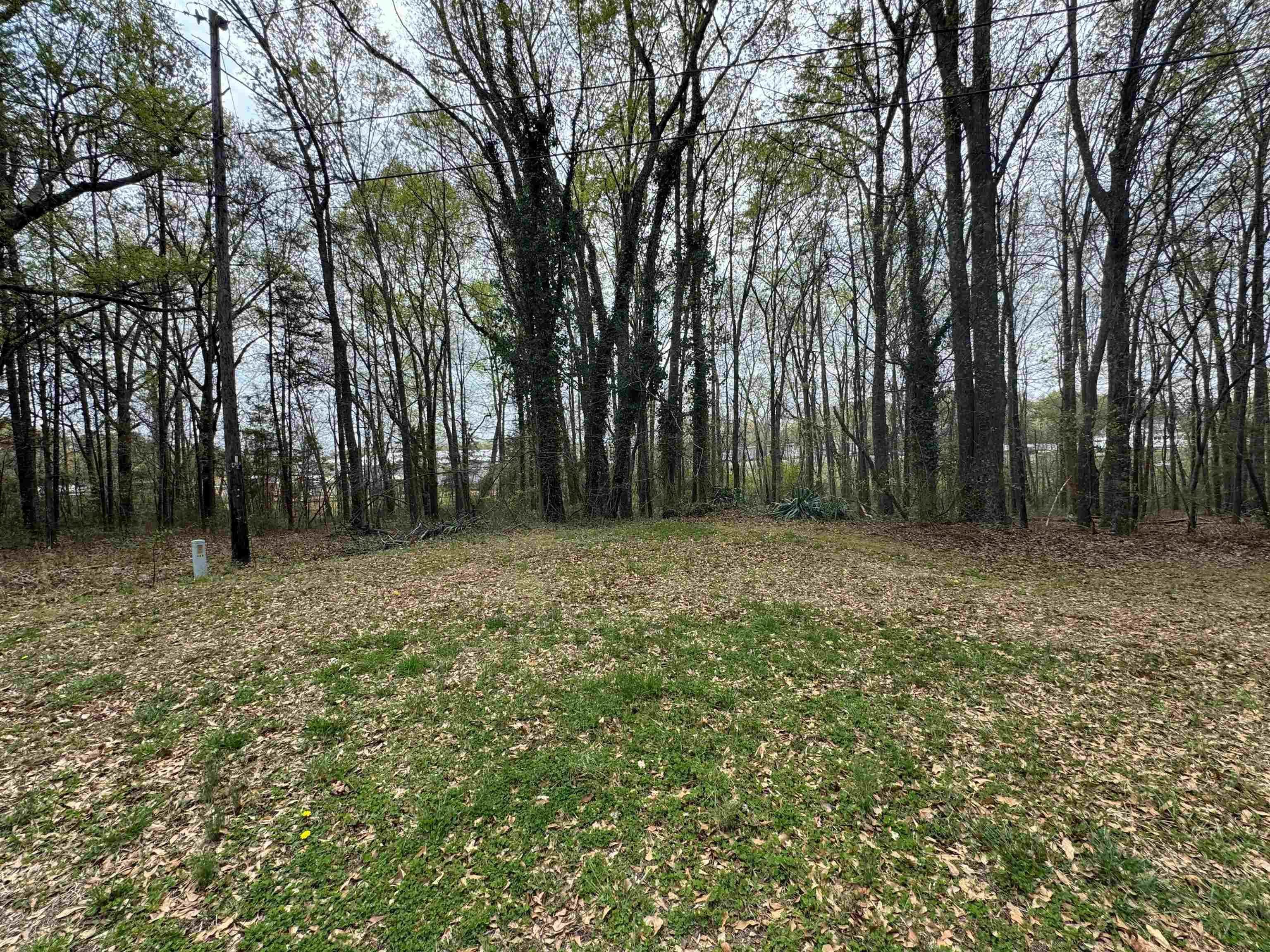 336265 Property Photo 5