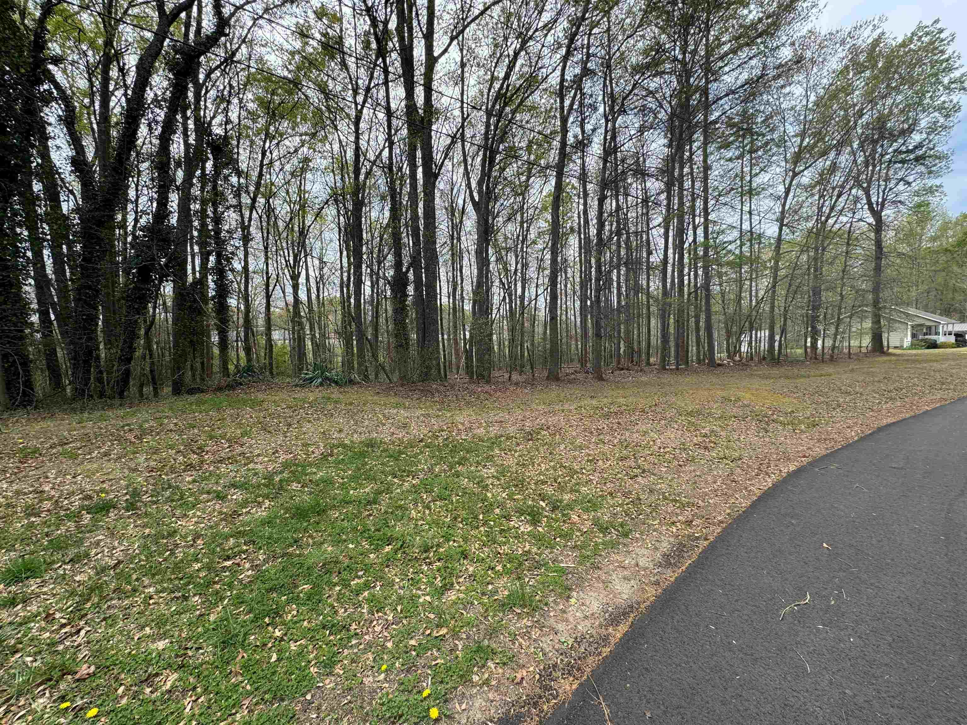 336265 Property Photo 6