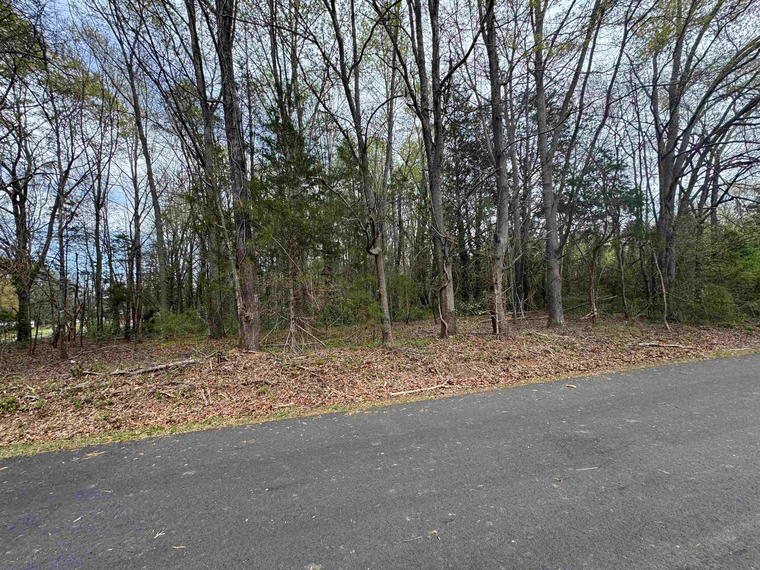 336291 Property Photo 3