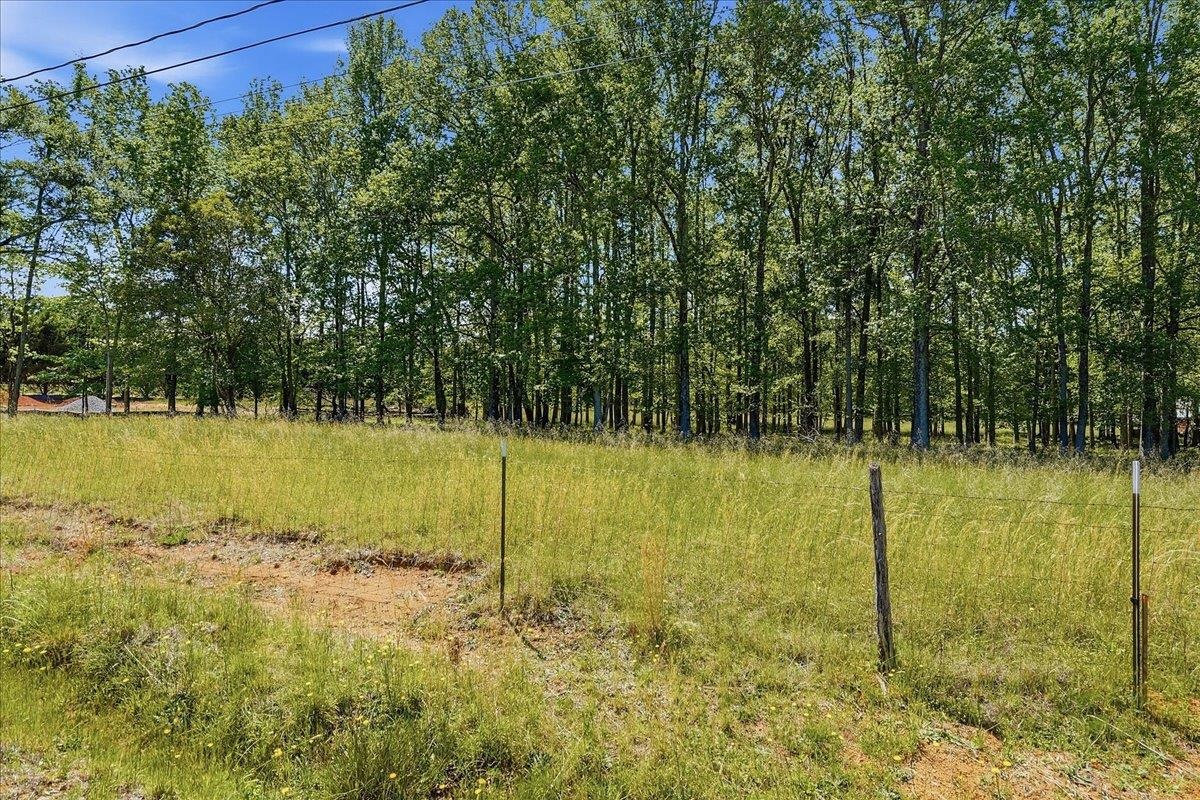 260 Wedgewood Road Property Photo 23