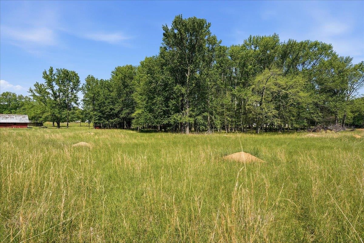 260 Wedgewood Road Property Photo 30