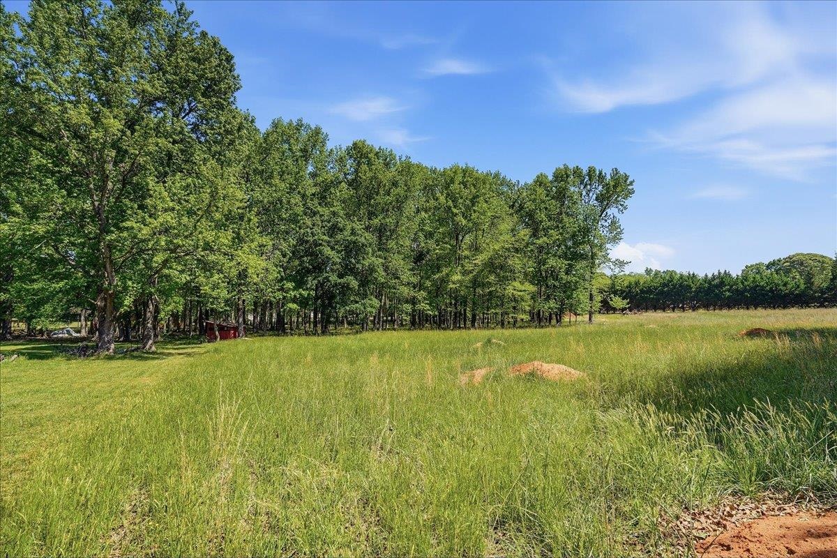 260 Wedgewood Road Property Photo 31