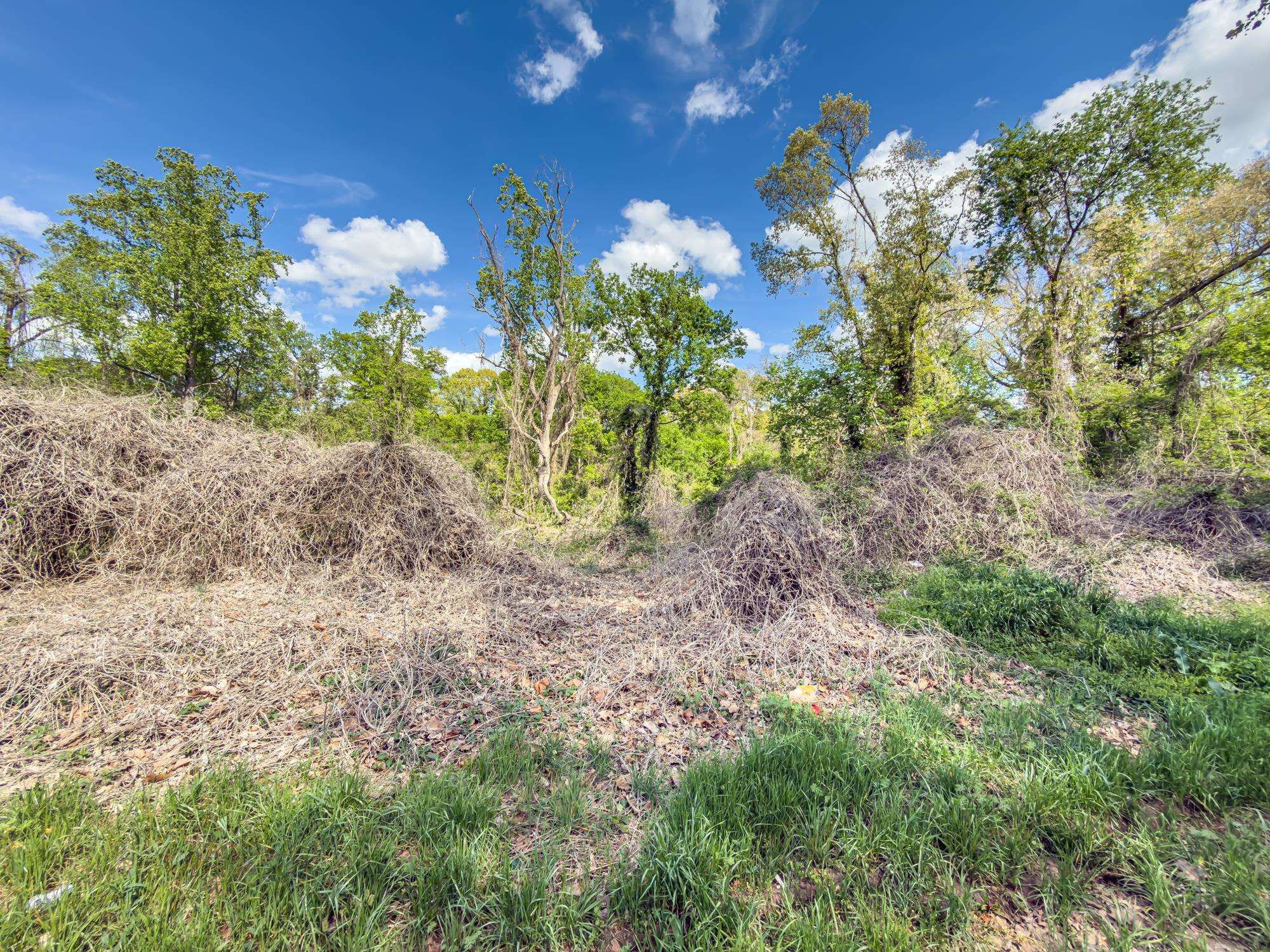 336378 Property Photo 15