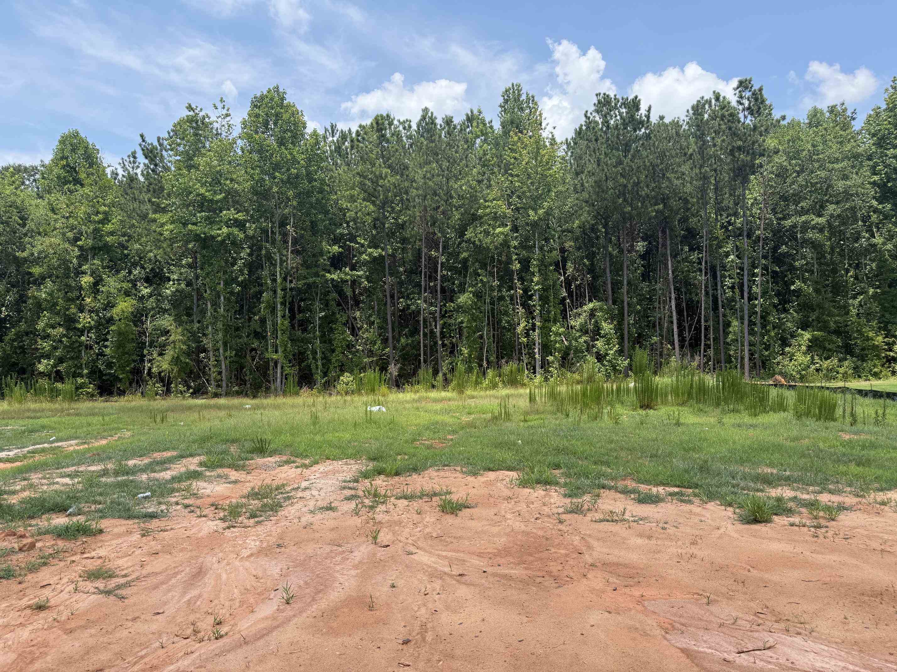 4064 Hollybank Drive Property Photo 9