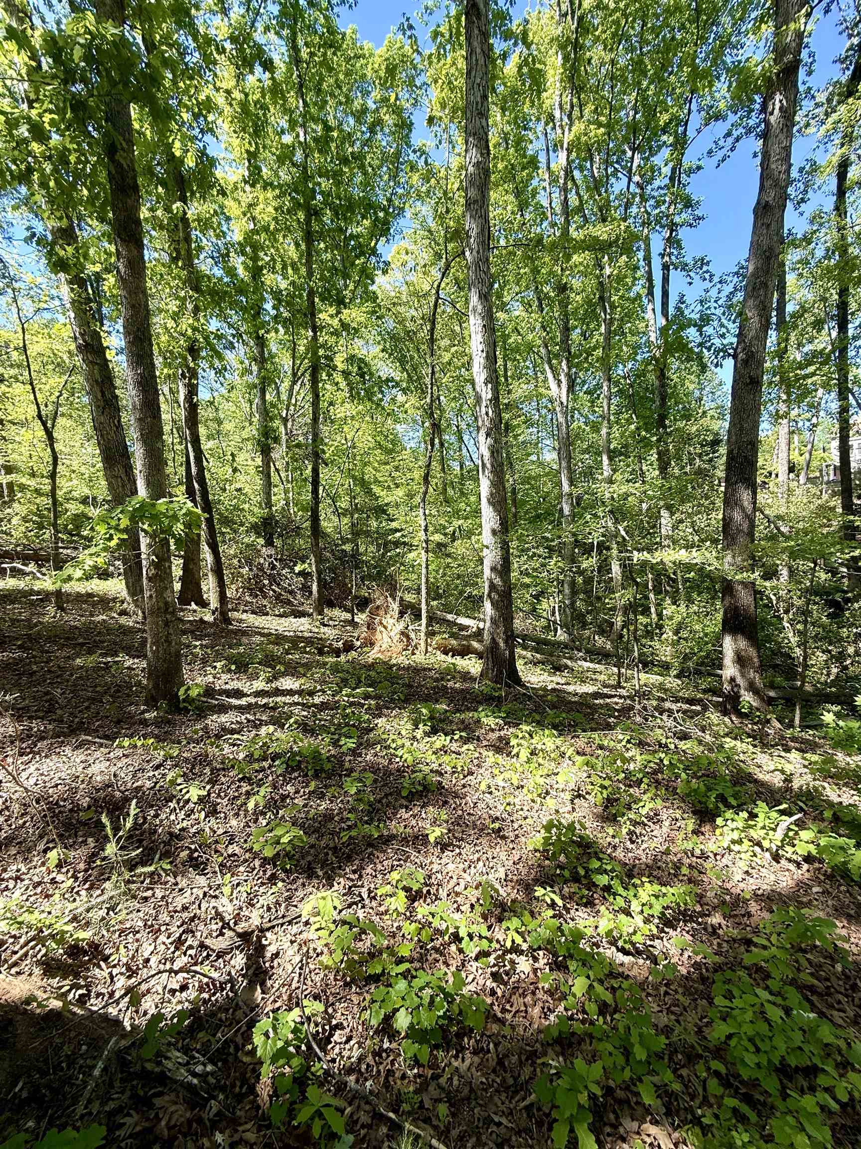 336575 Property Photo 5