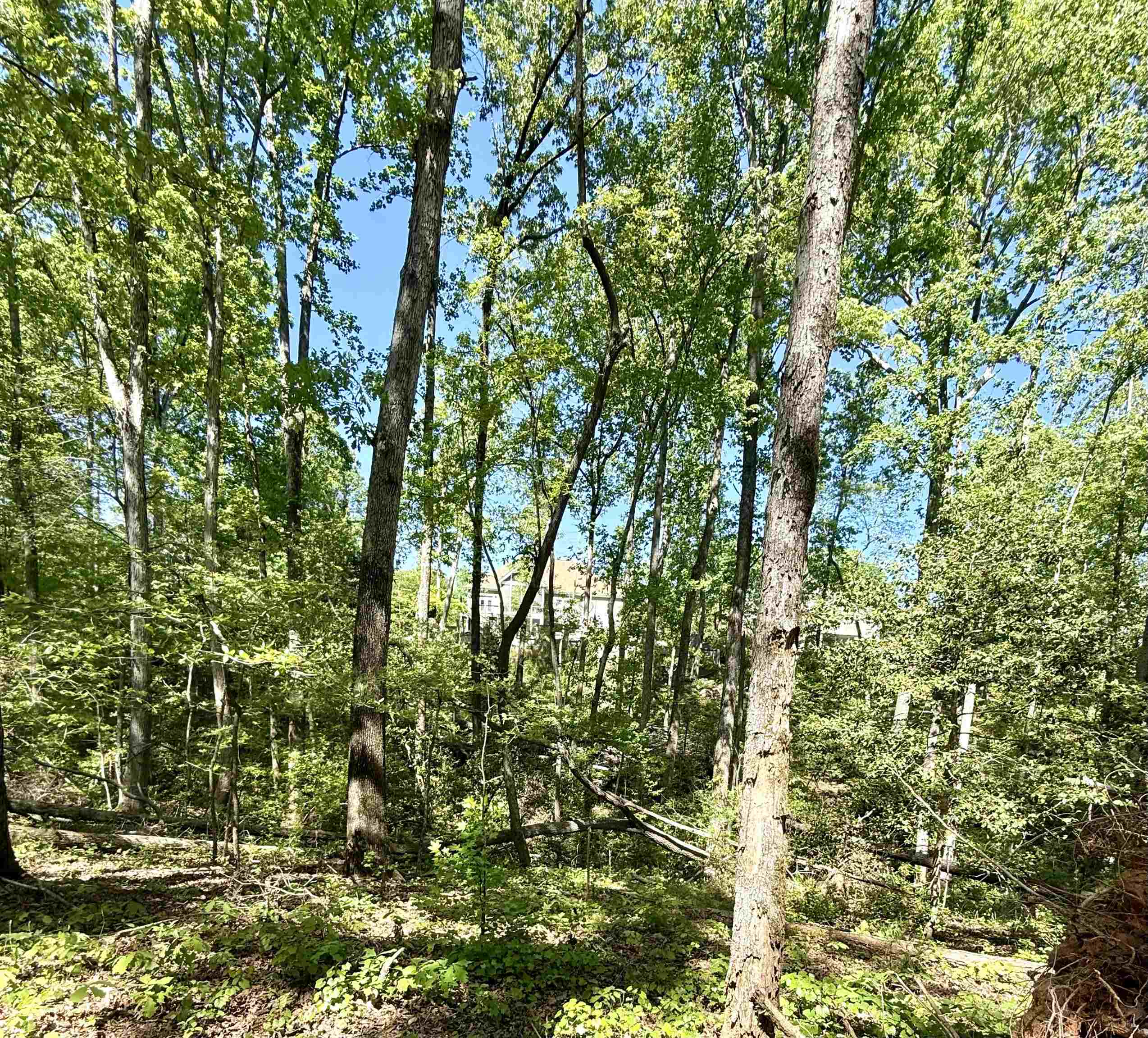 336575 Property Photo 6