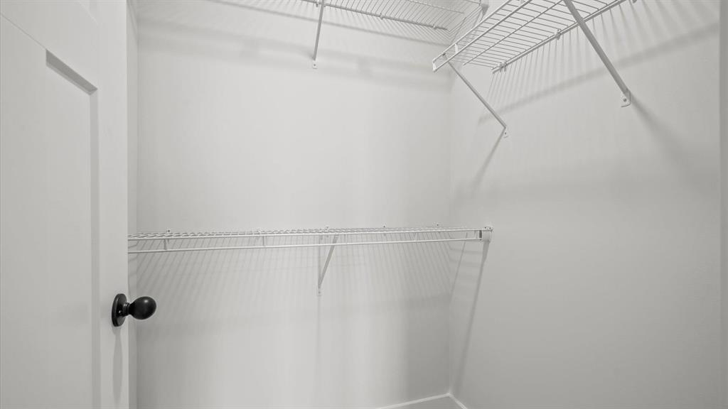 109 Dalmatian Drive Property Photo 14