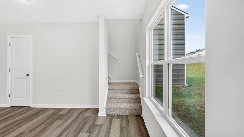 4125 Springshire Lane Property Photo 17