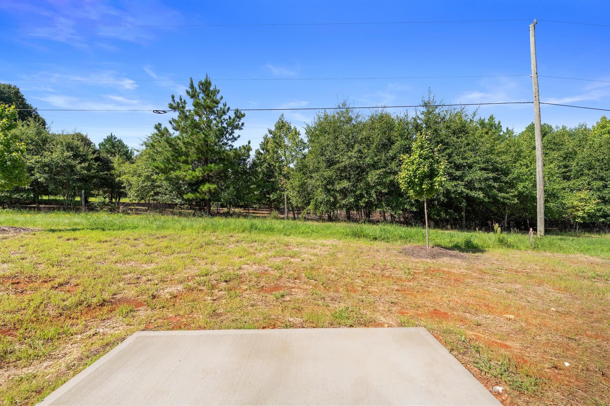 163 Cloverfield Lane Property Photo 18