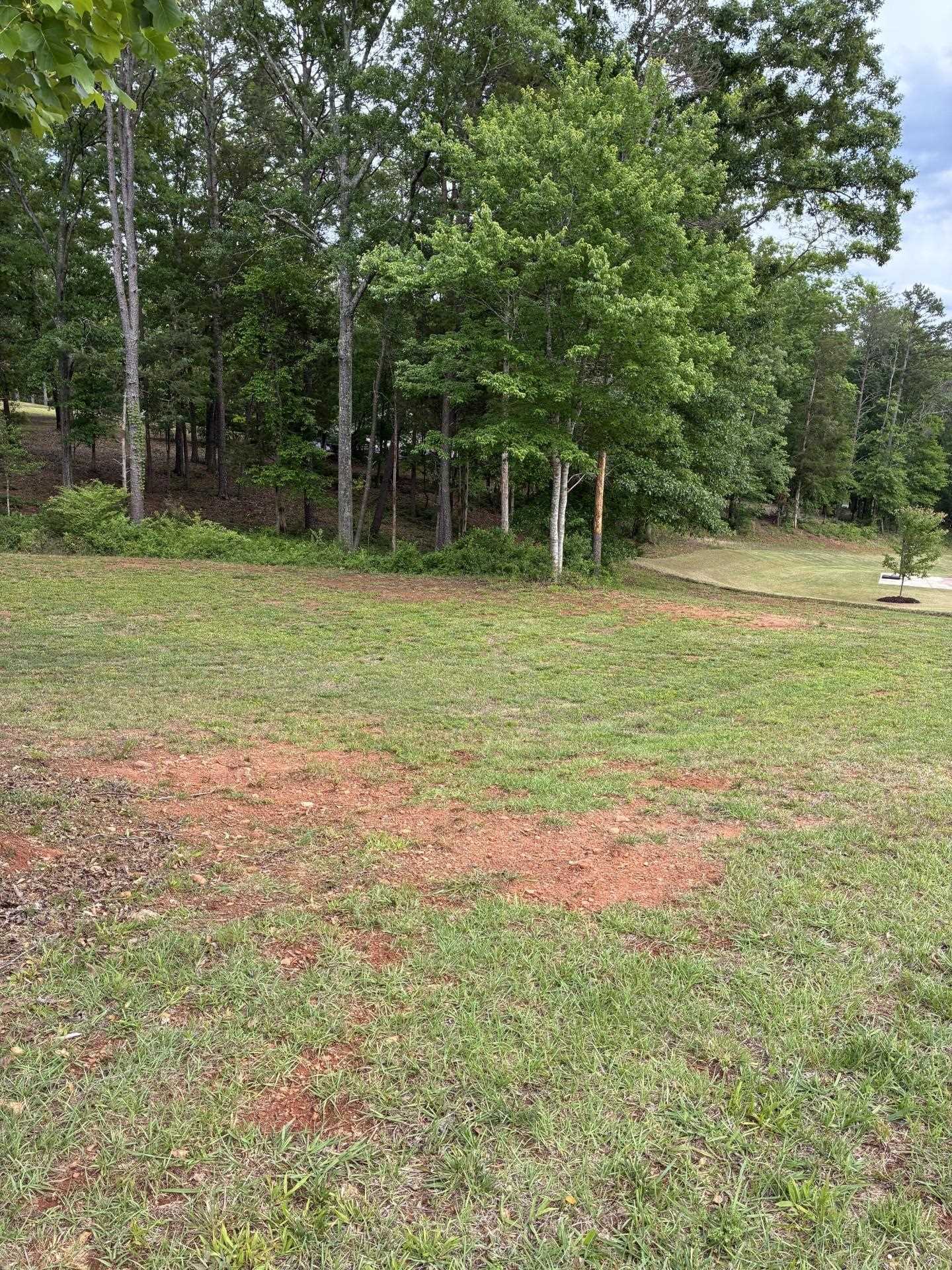 336925 Property Photo 6