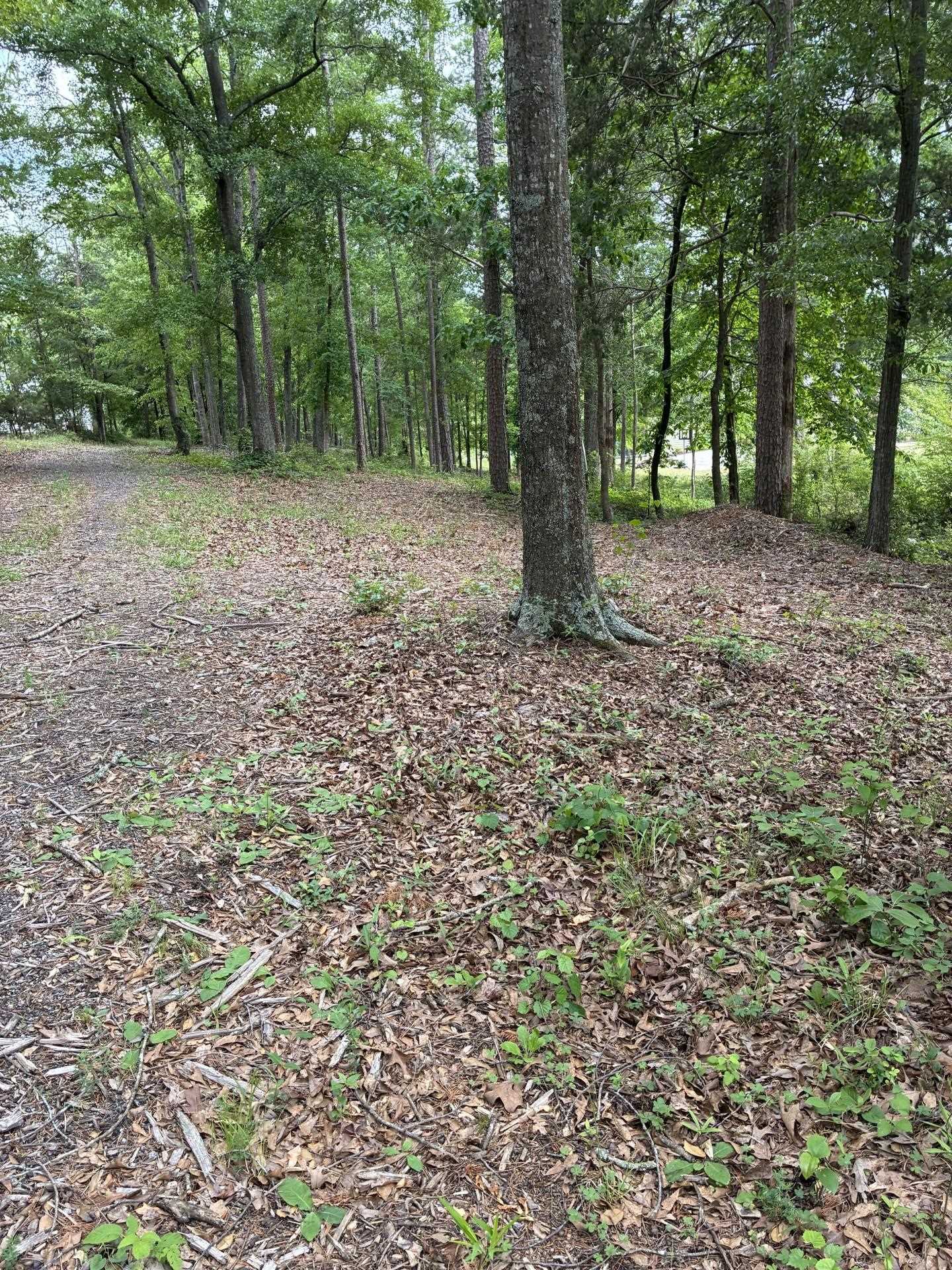 336925 Property Photo 9