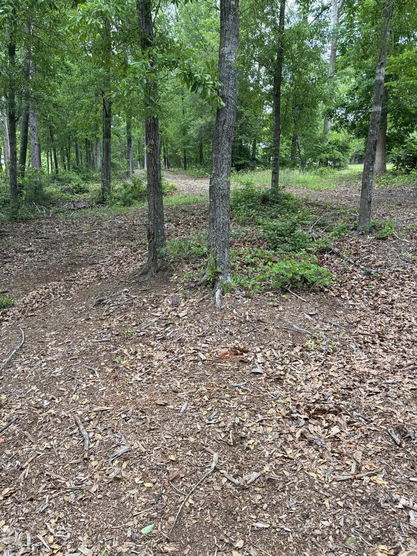 336925 Property Photo 10