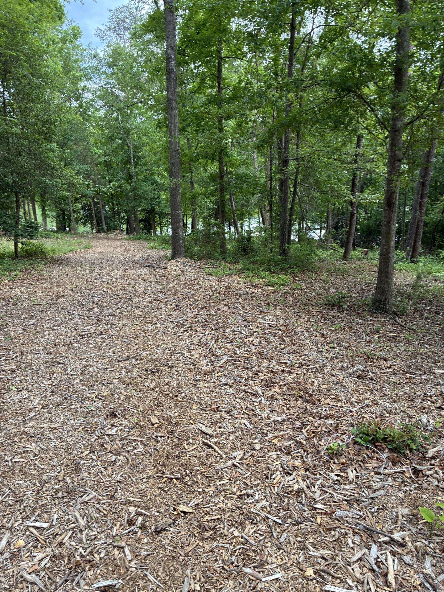 336925 Property Photo 11