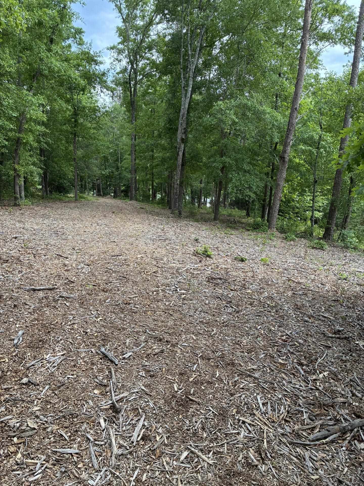336925 Property Photo 12