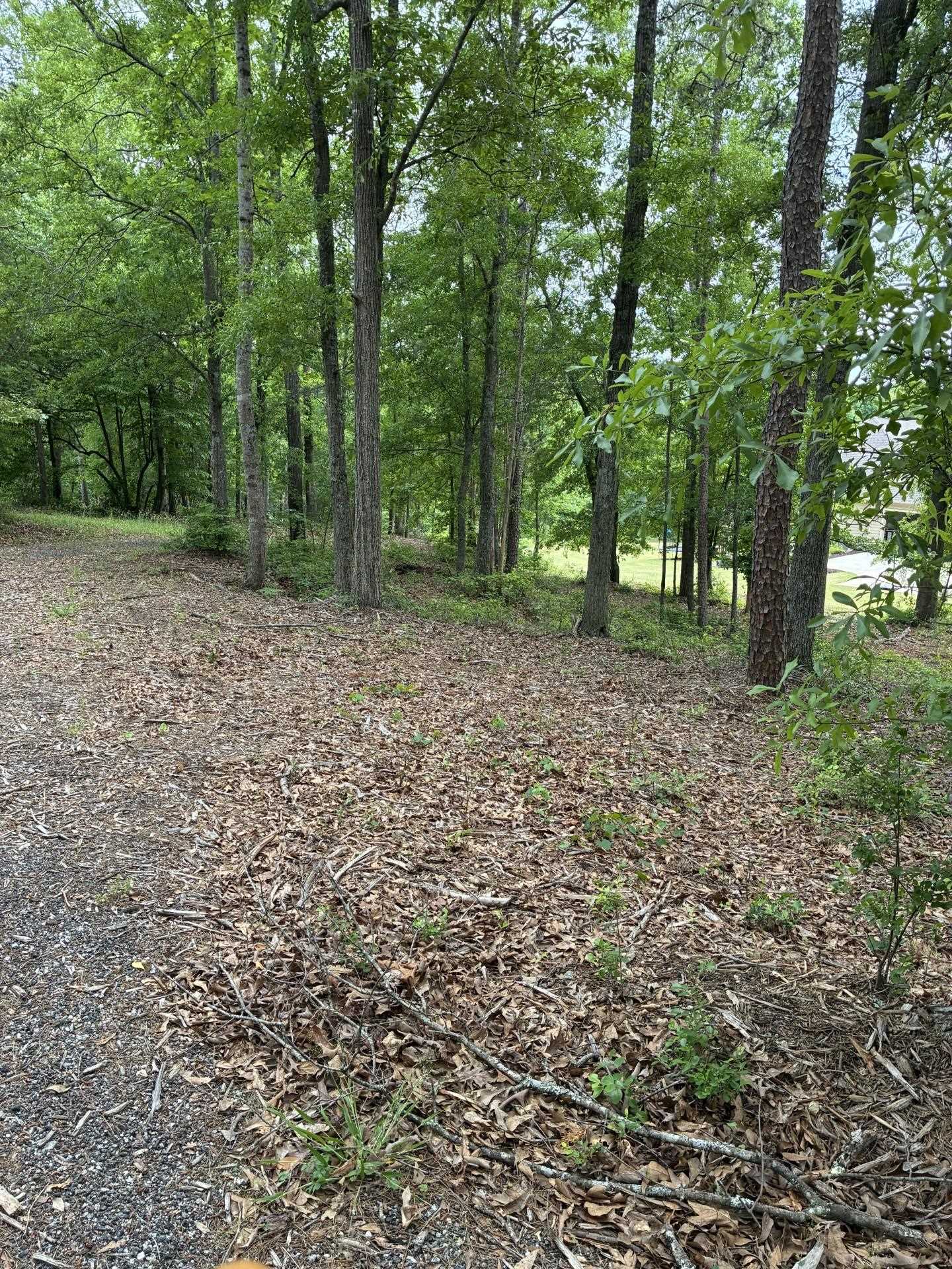 336925 Property Photo 14